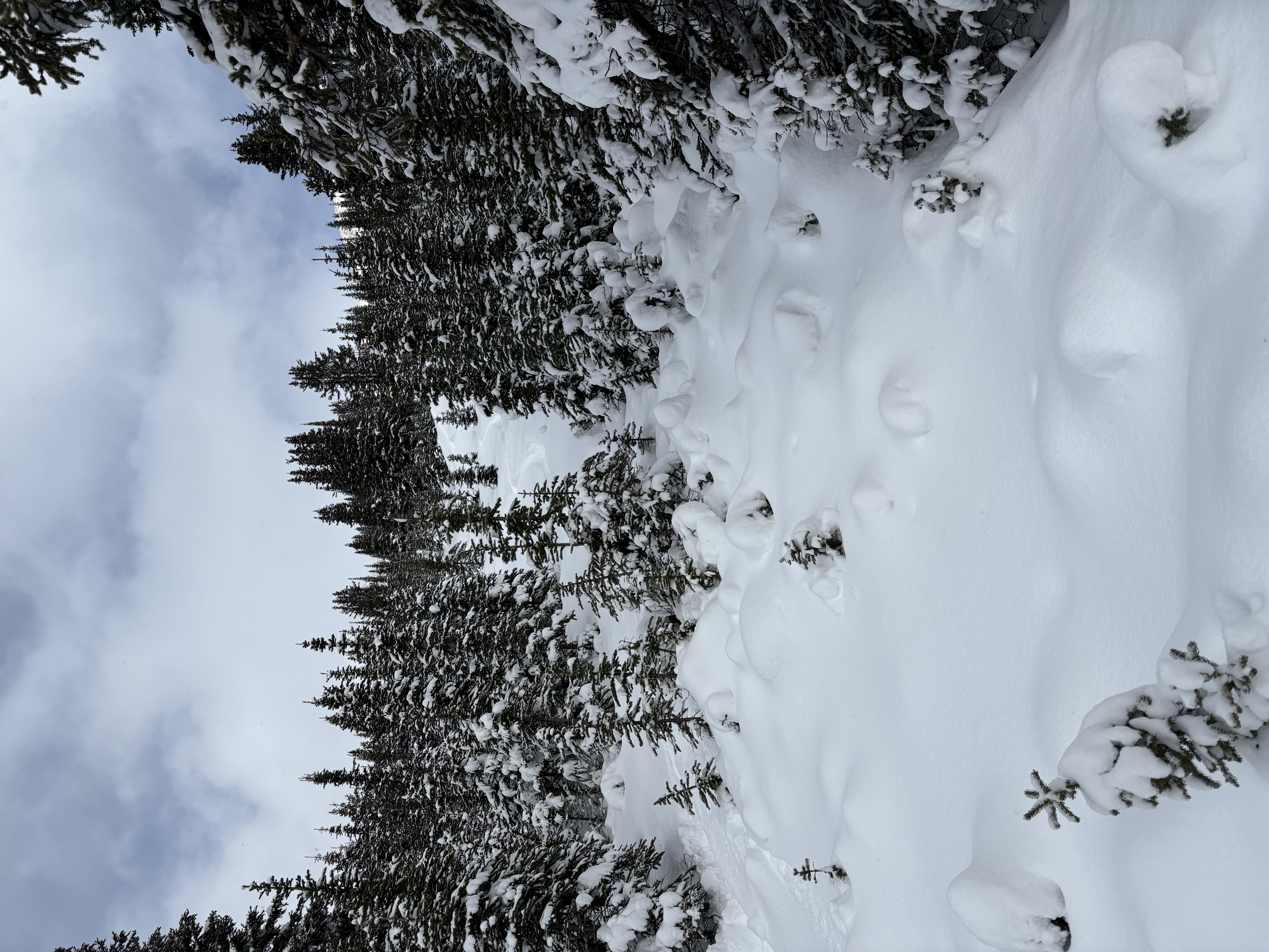 Observation photo