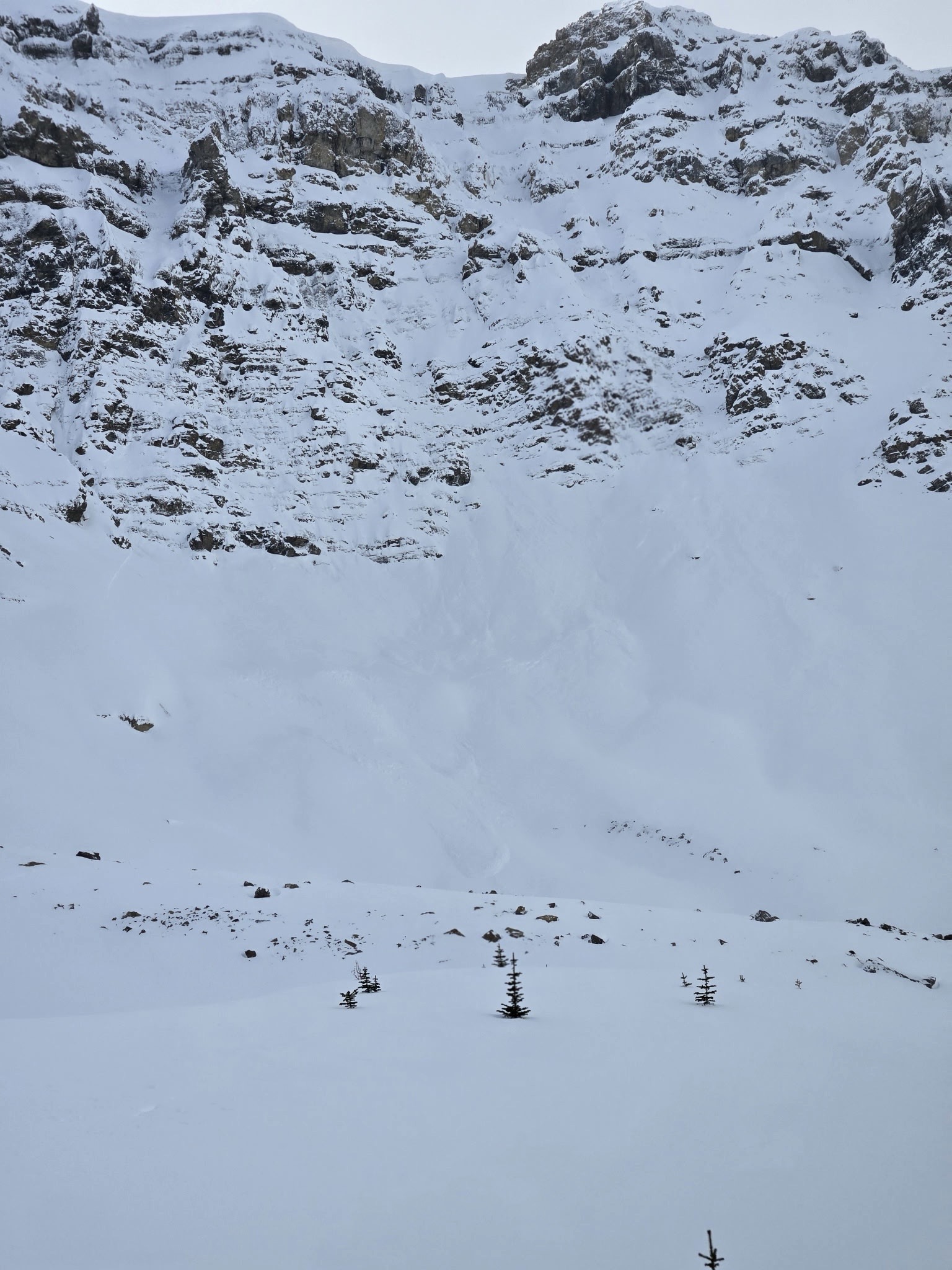 Observation photo