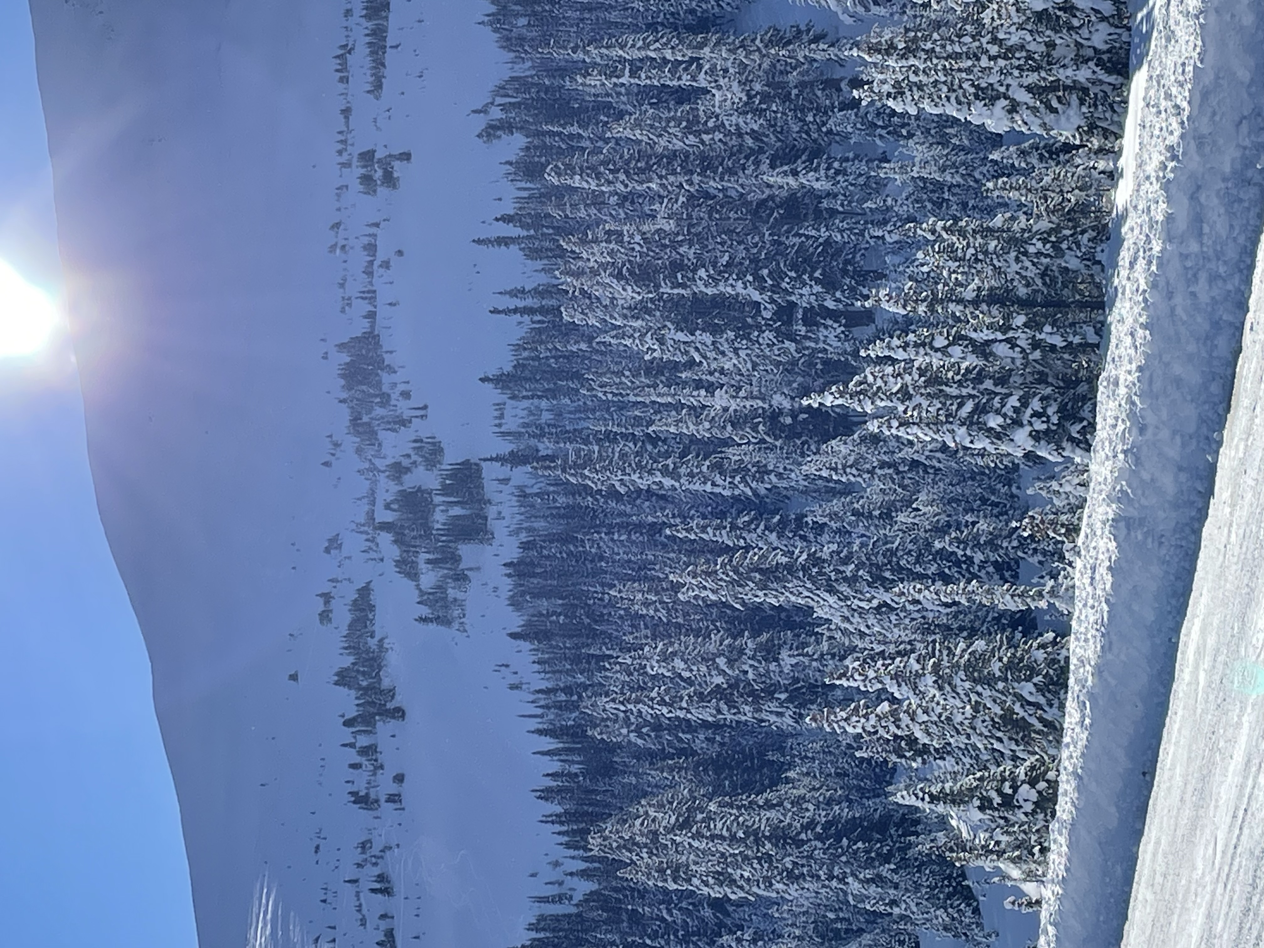 Observation photo