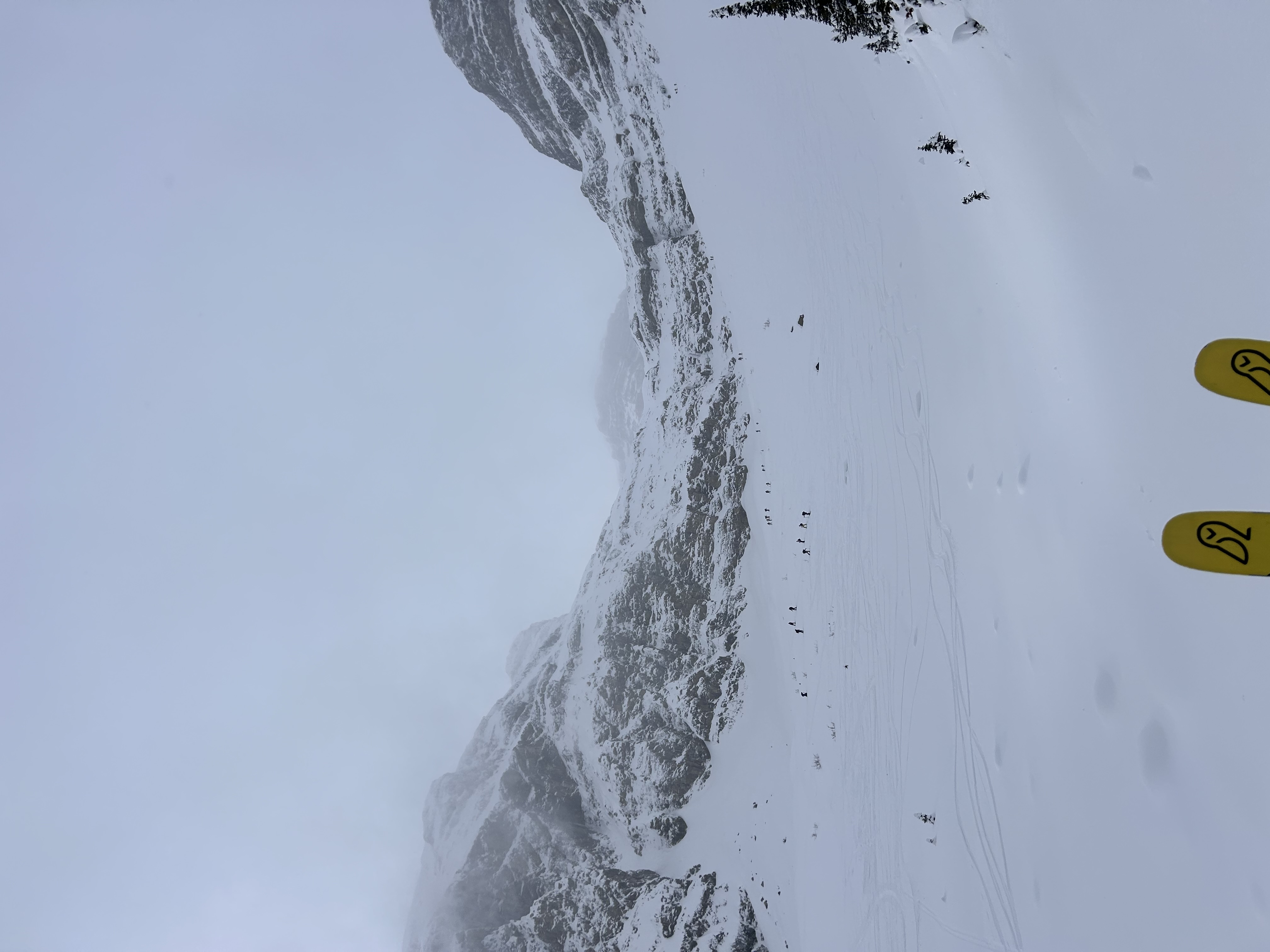 Observation photo