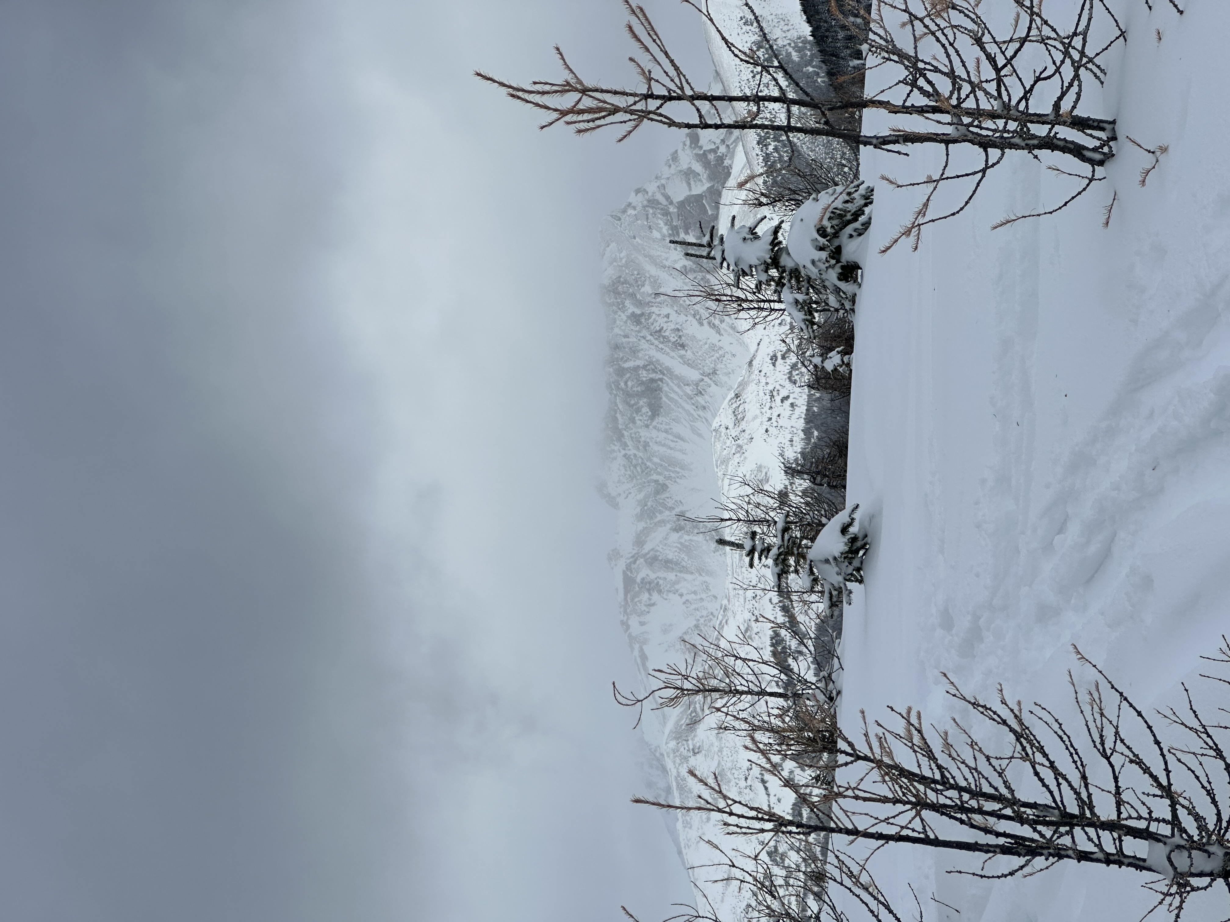 Observation photo