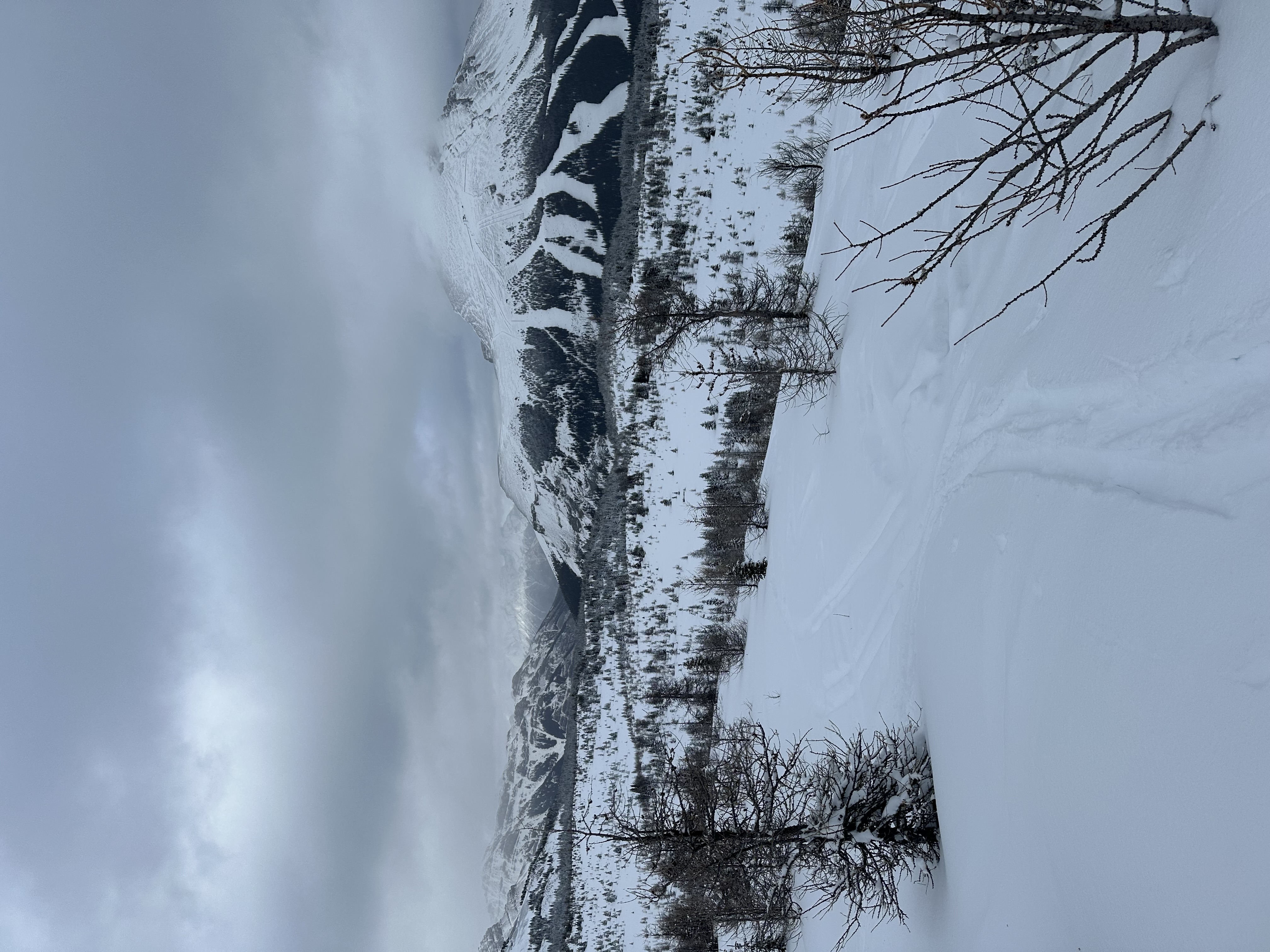 Observation photo