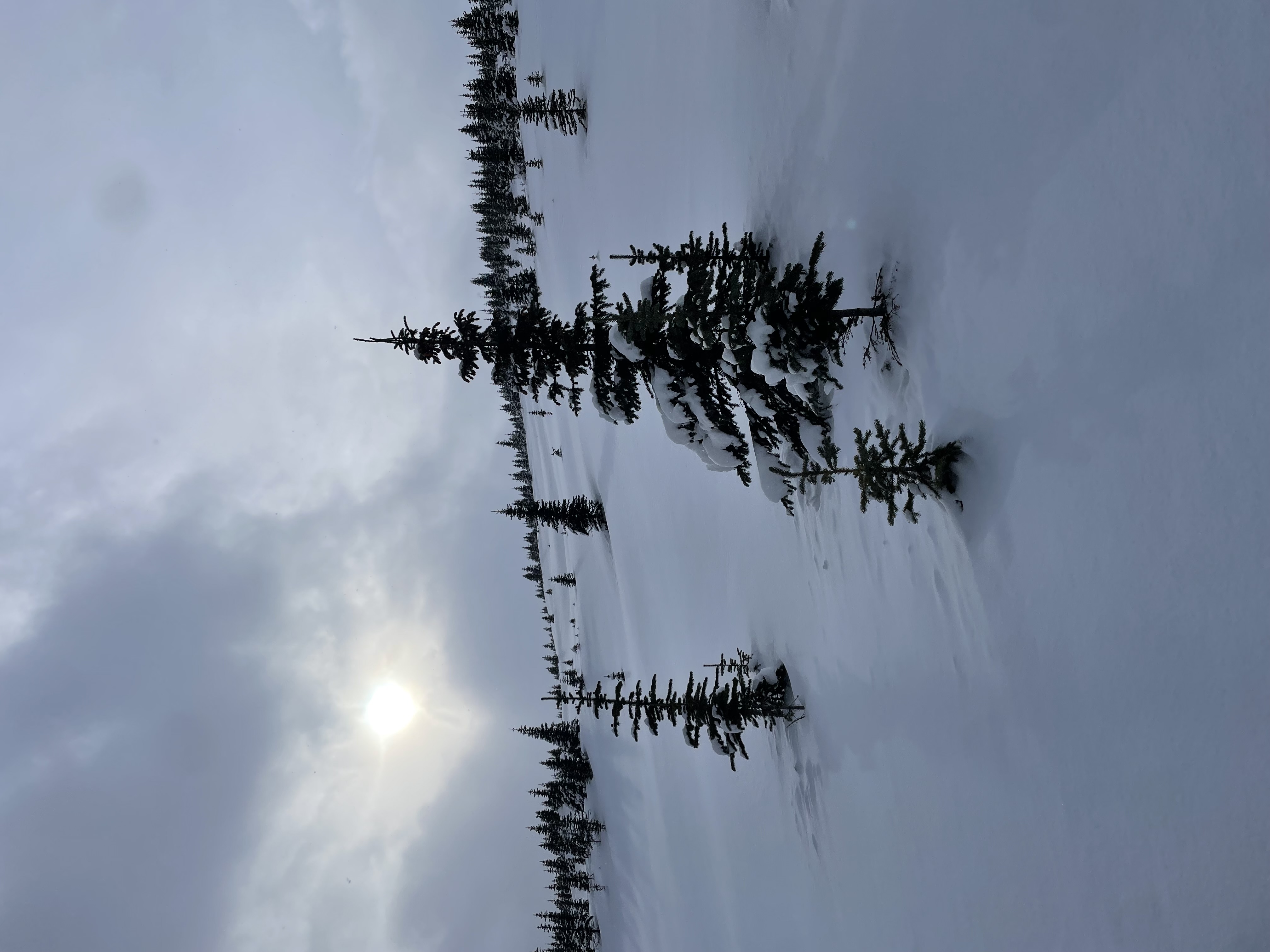Observation photo
