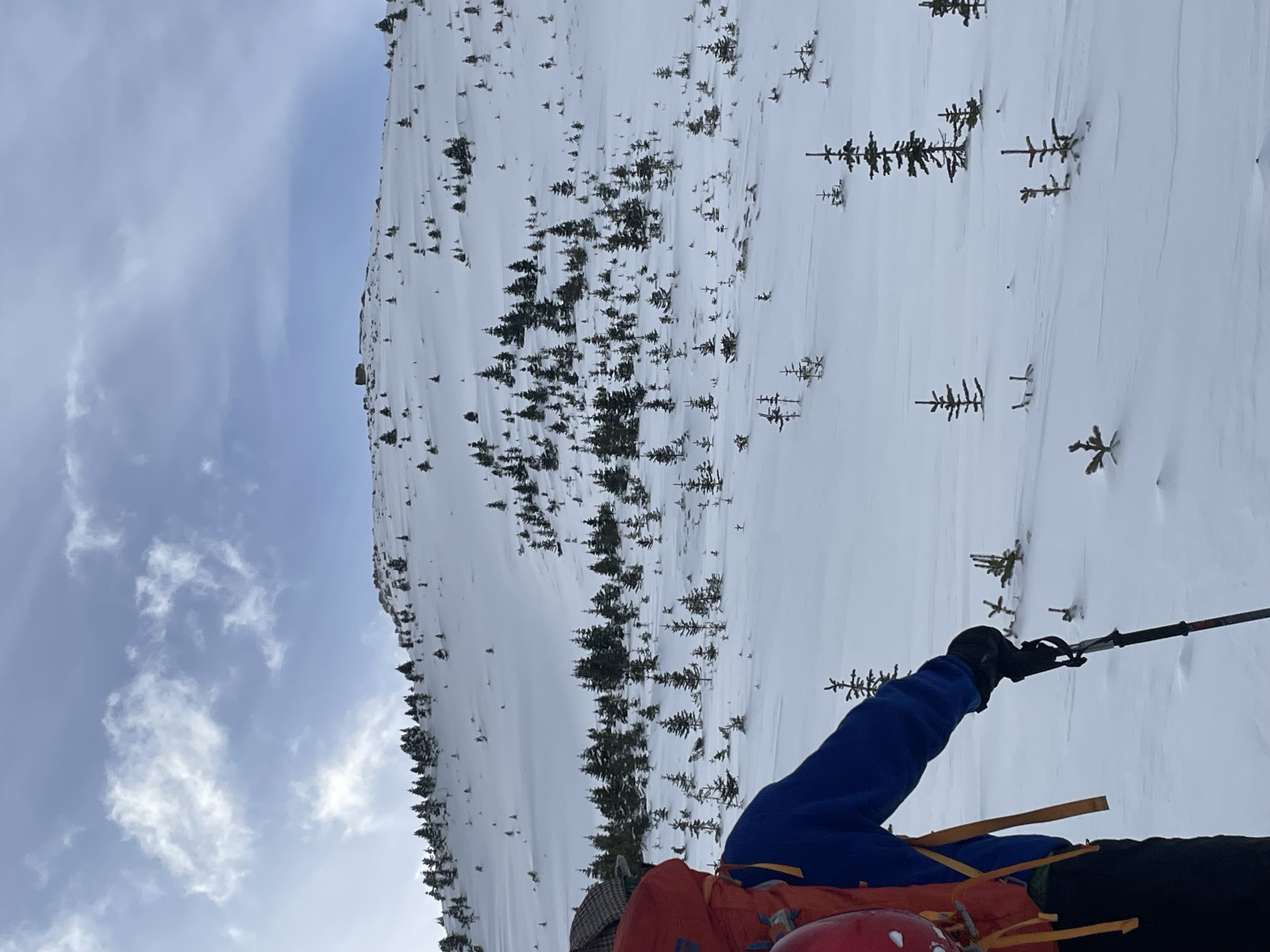 Observation photo