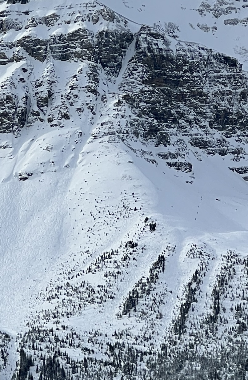 Observation photo