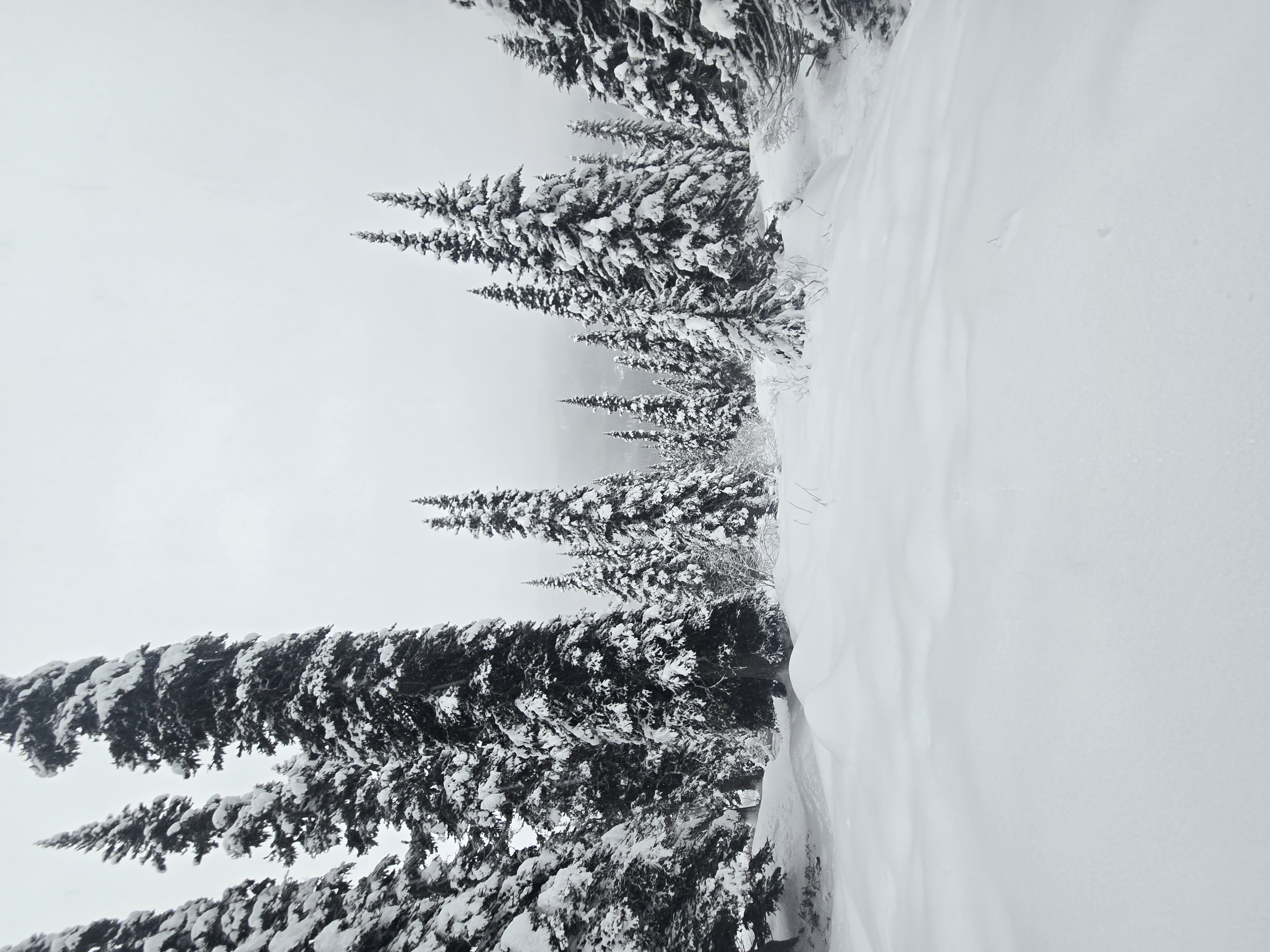 Observation photo