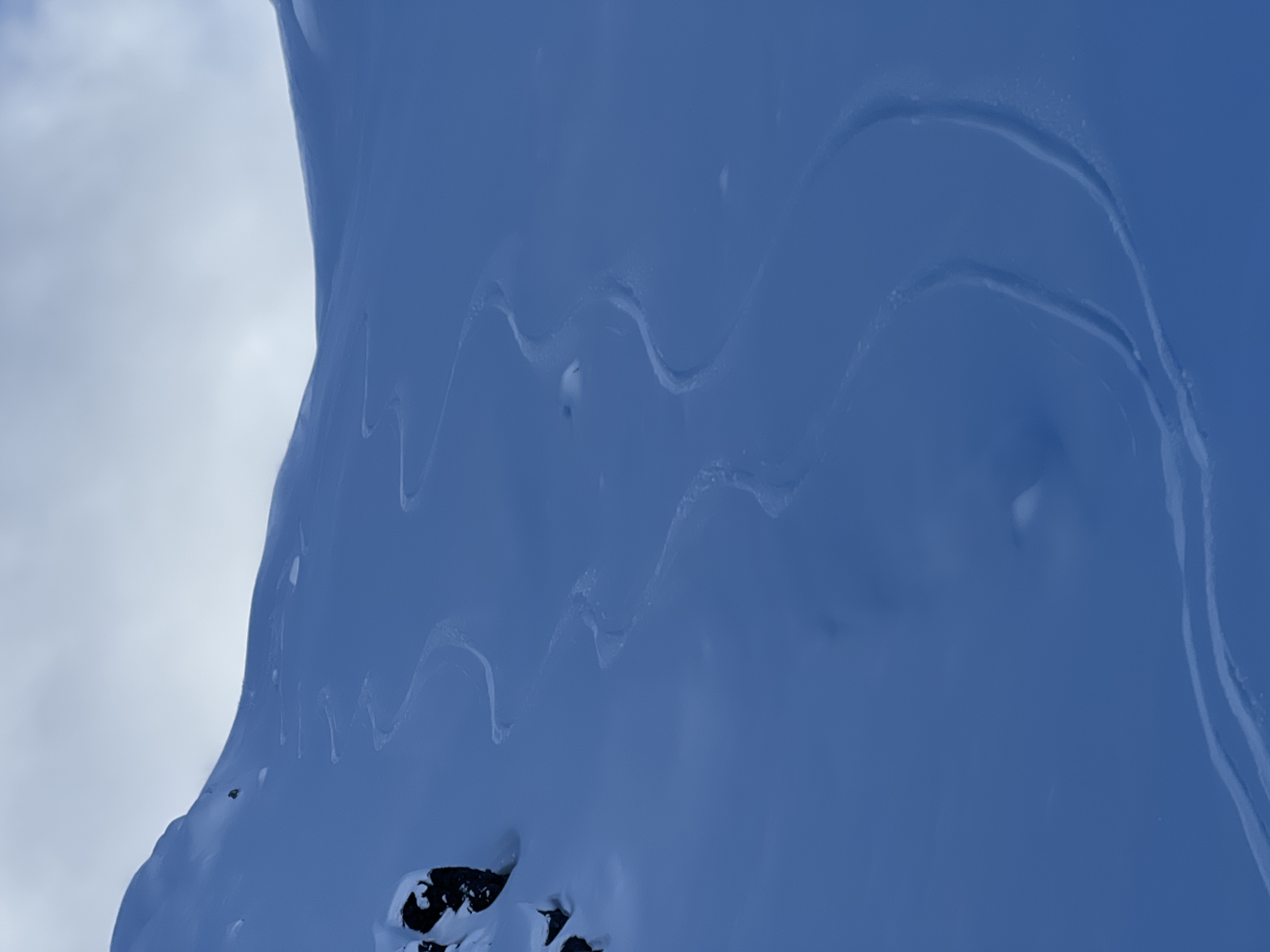 Observation photo