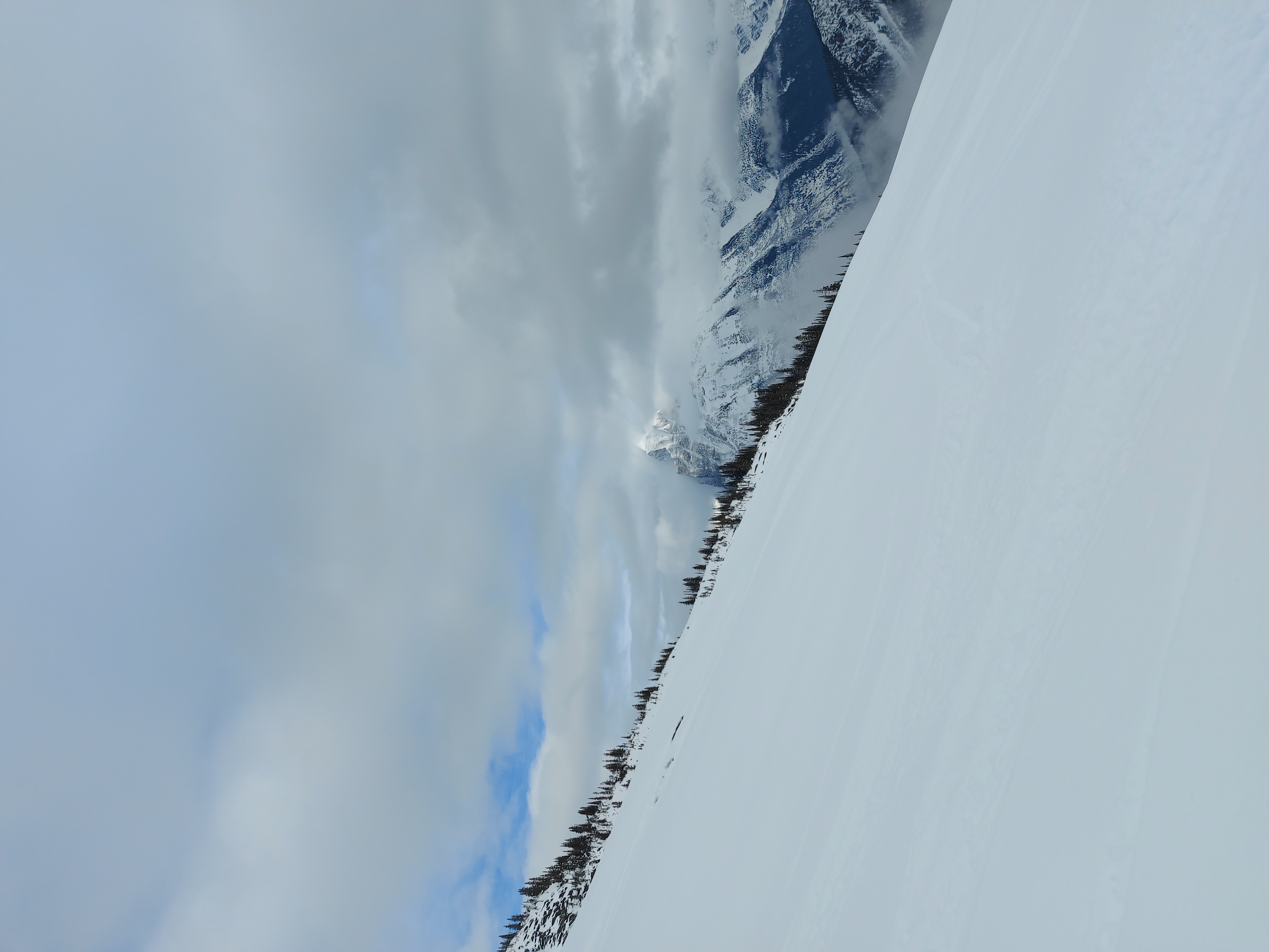 Observation photo