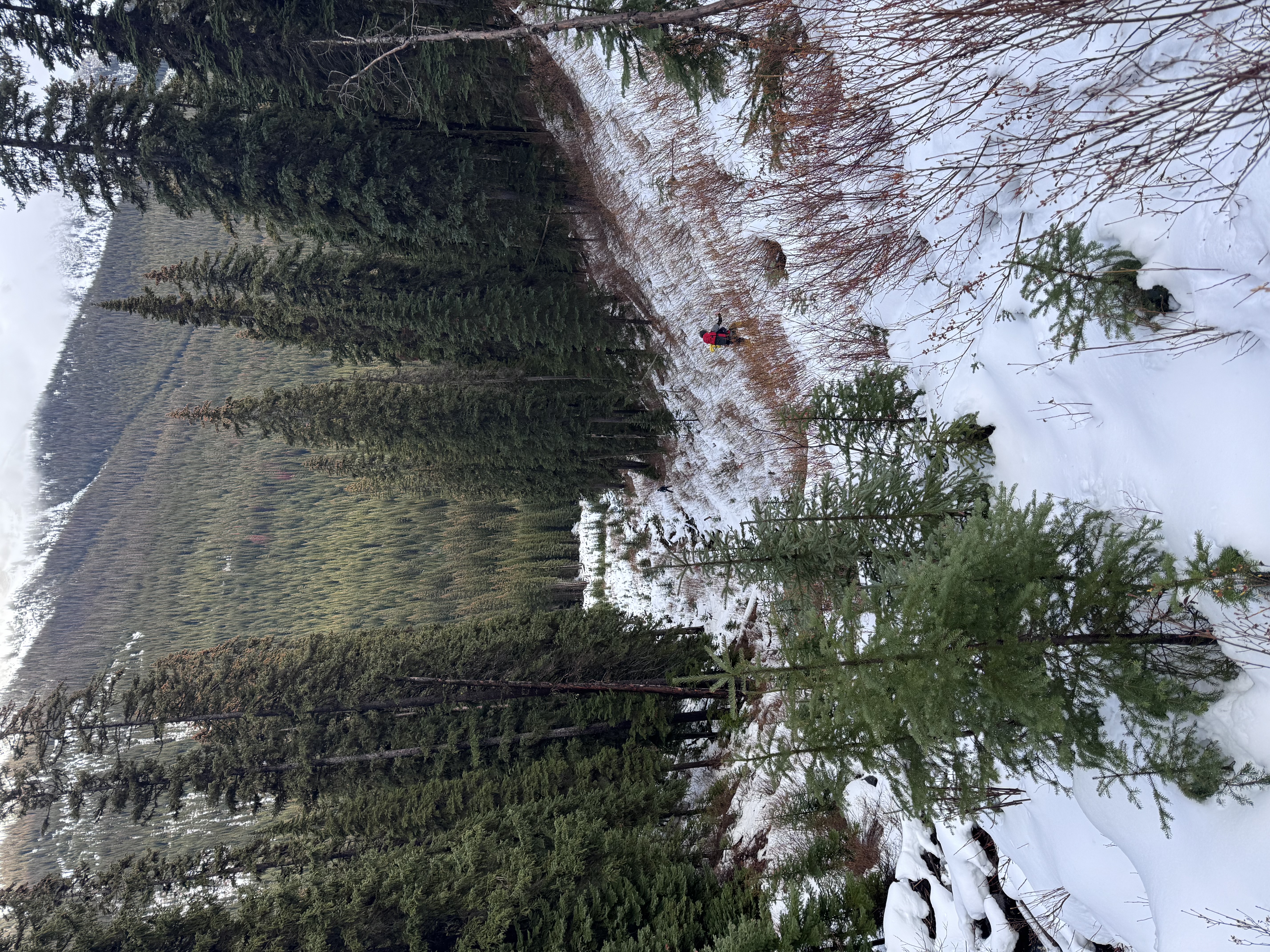Observation photo