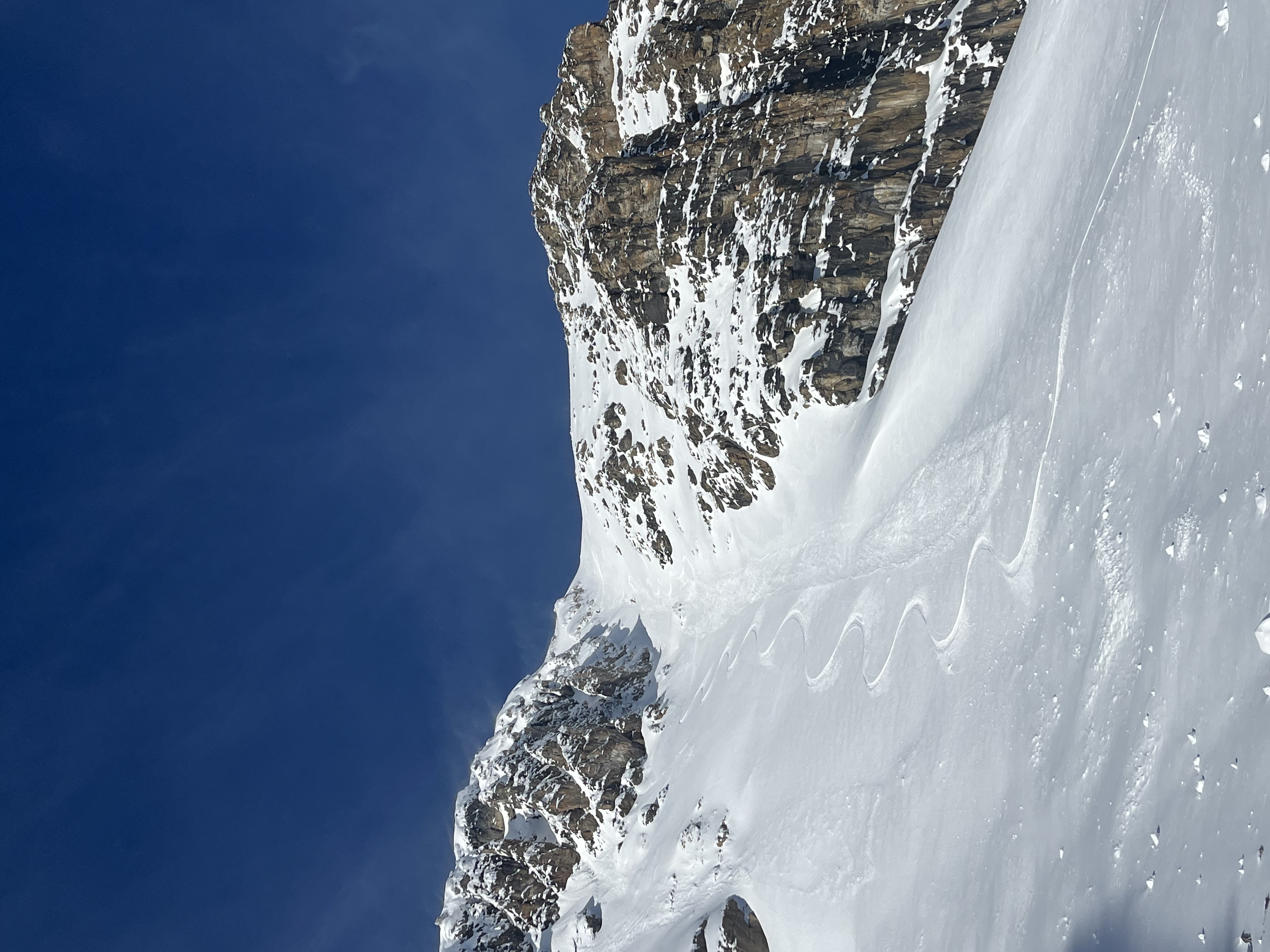 Observation photo