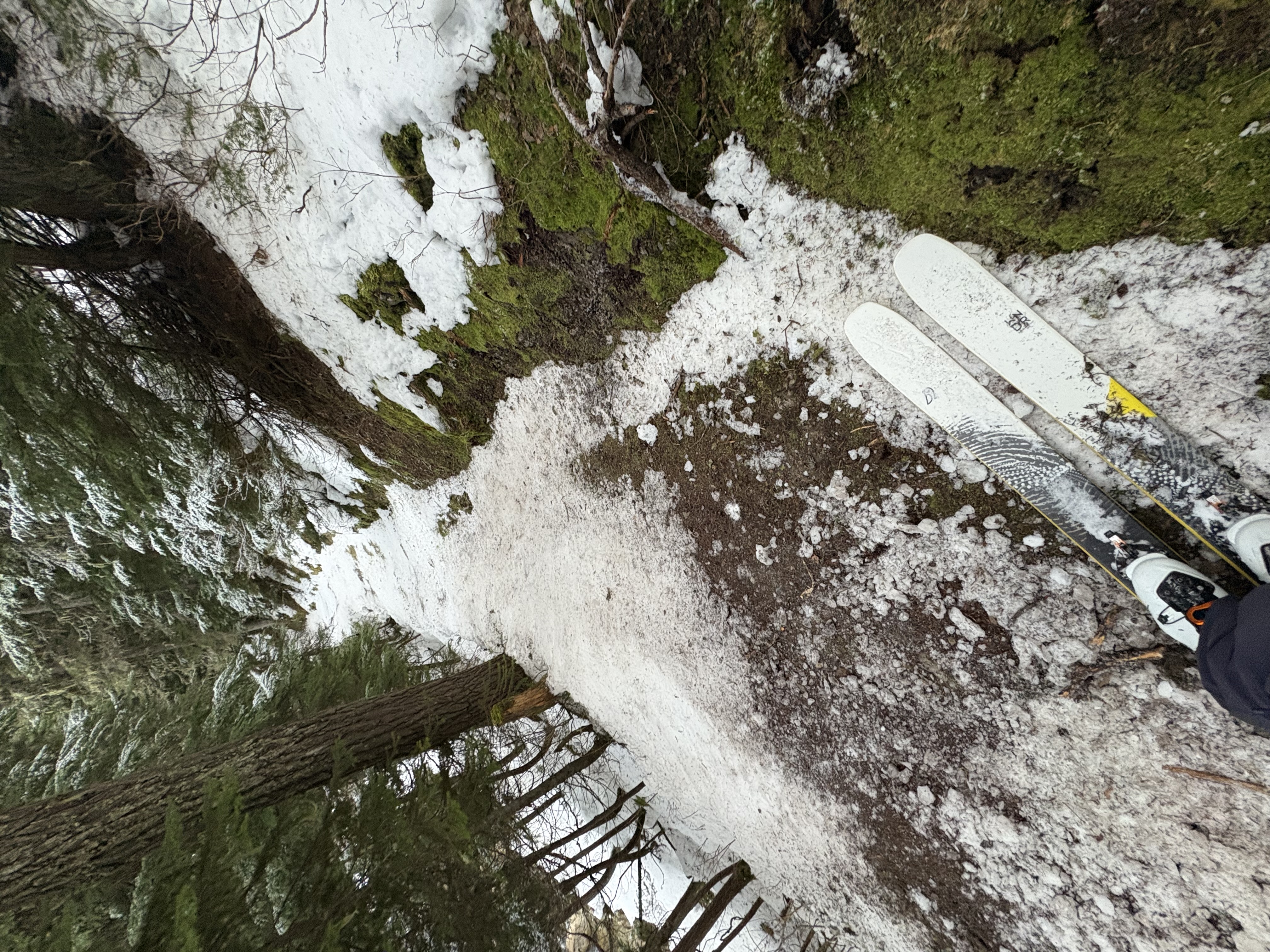Observation photo