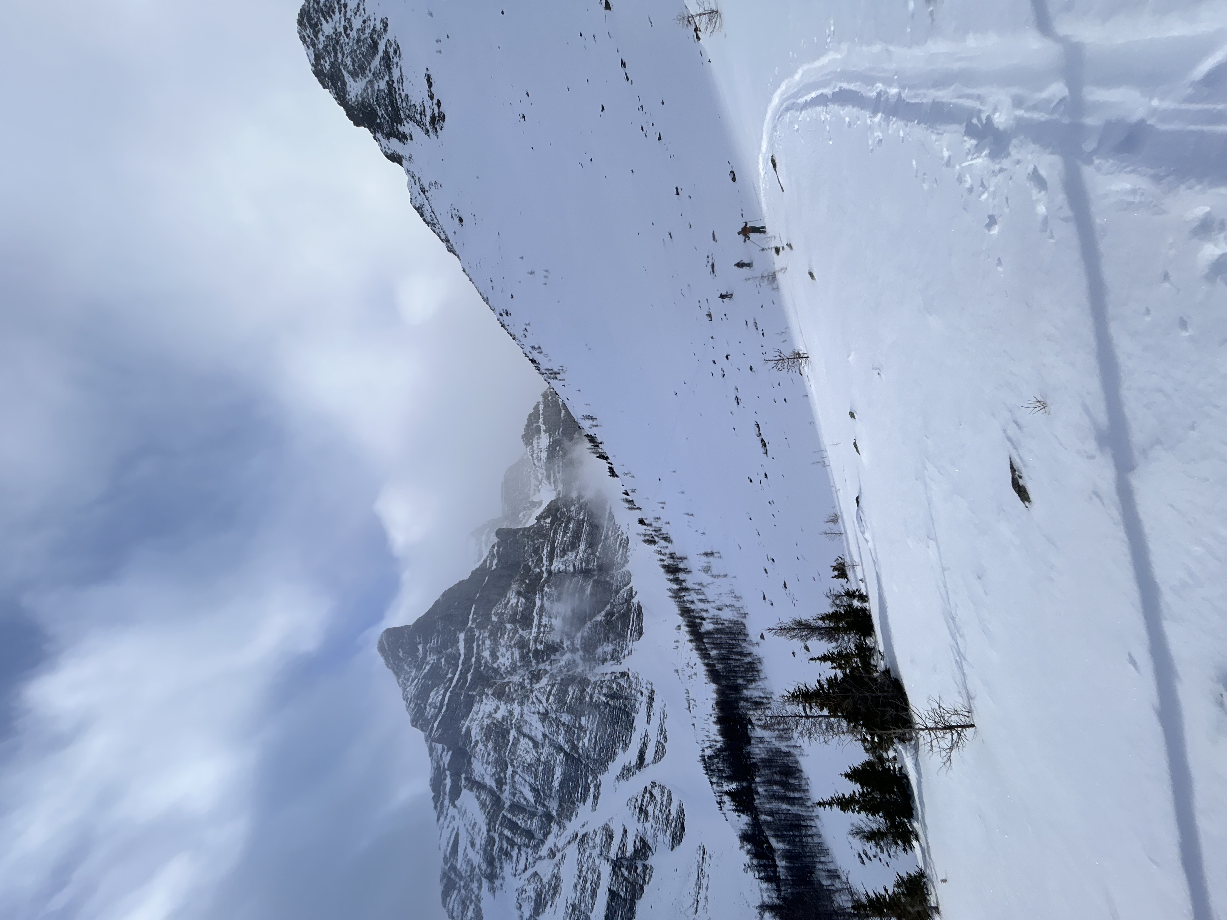 Observation photo