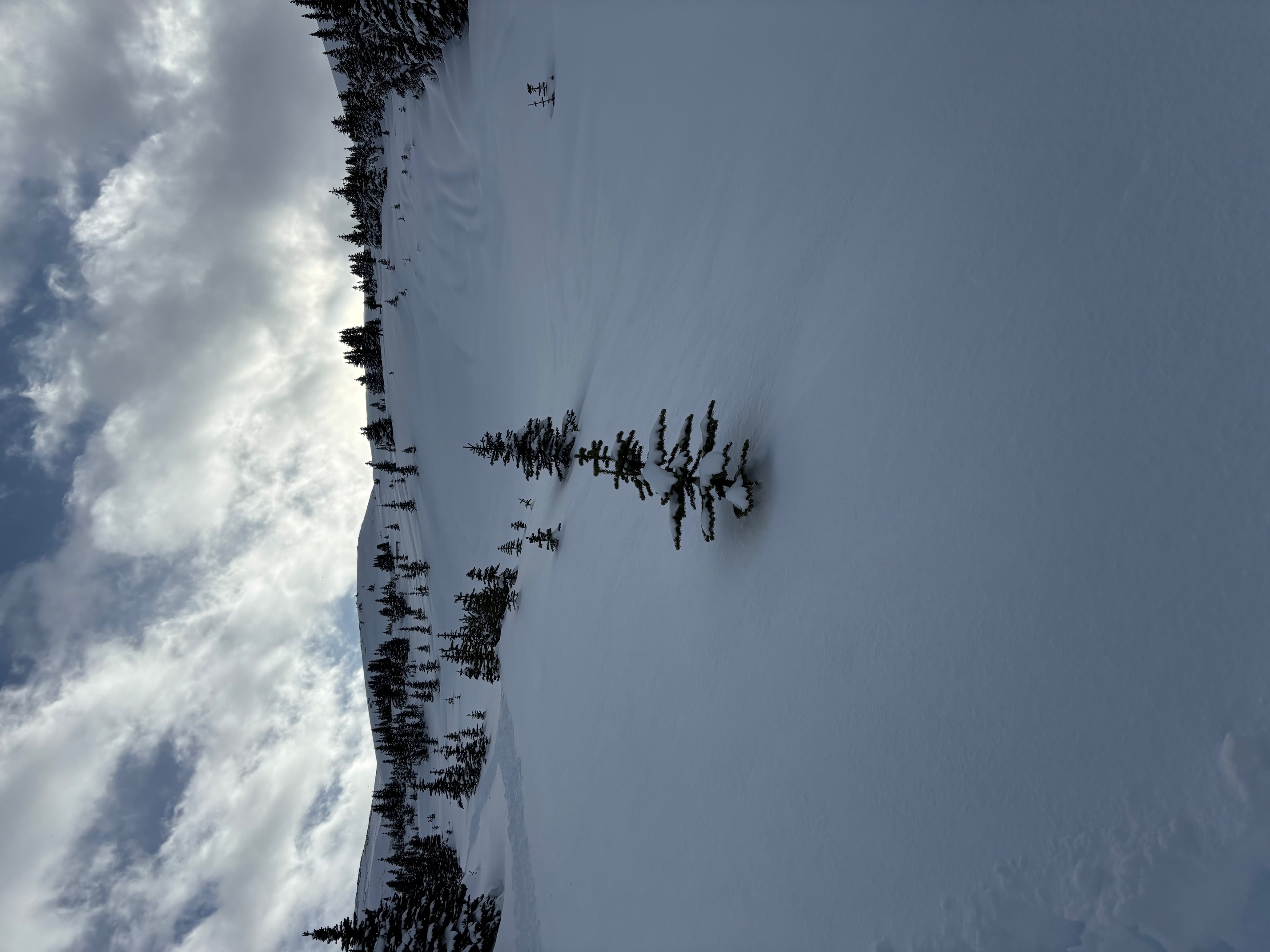 Observation photo
