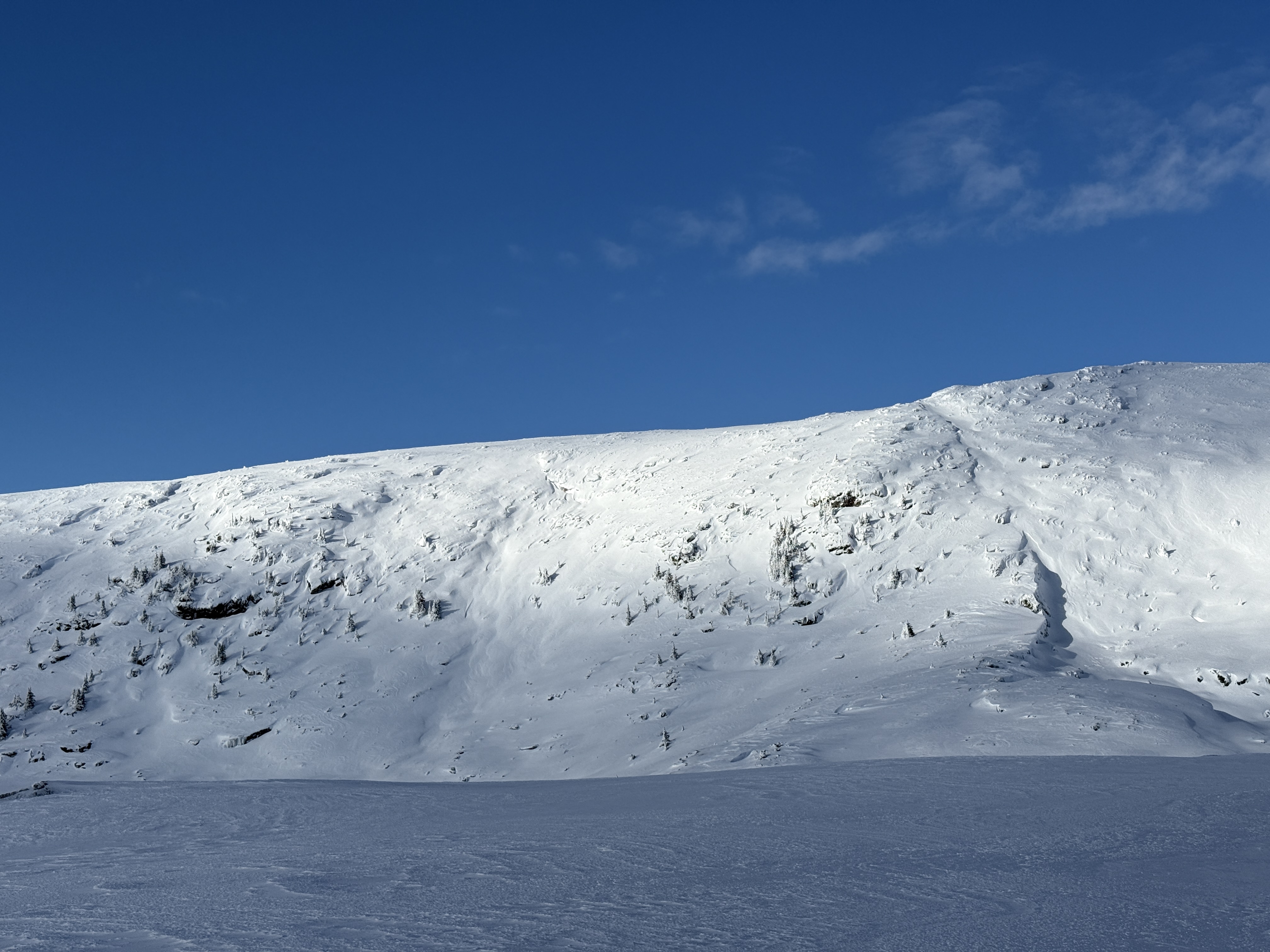 Observation photo