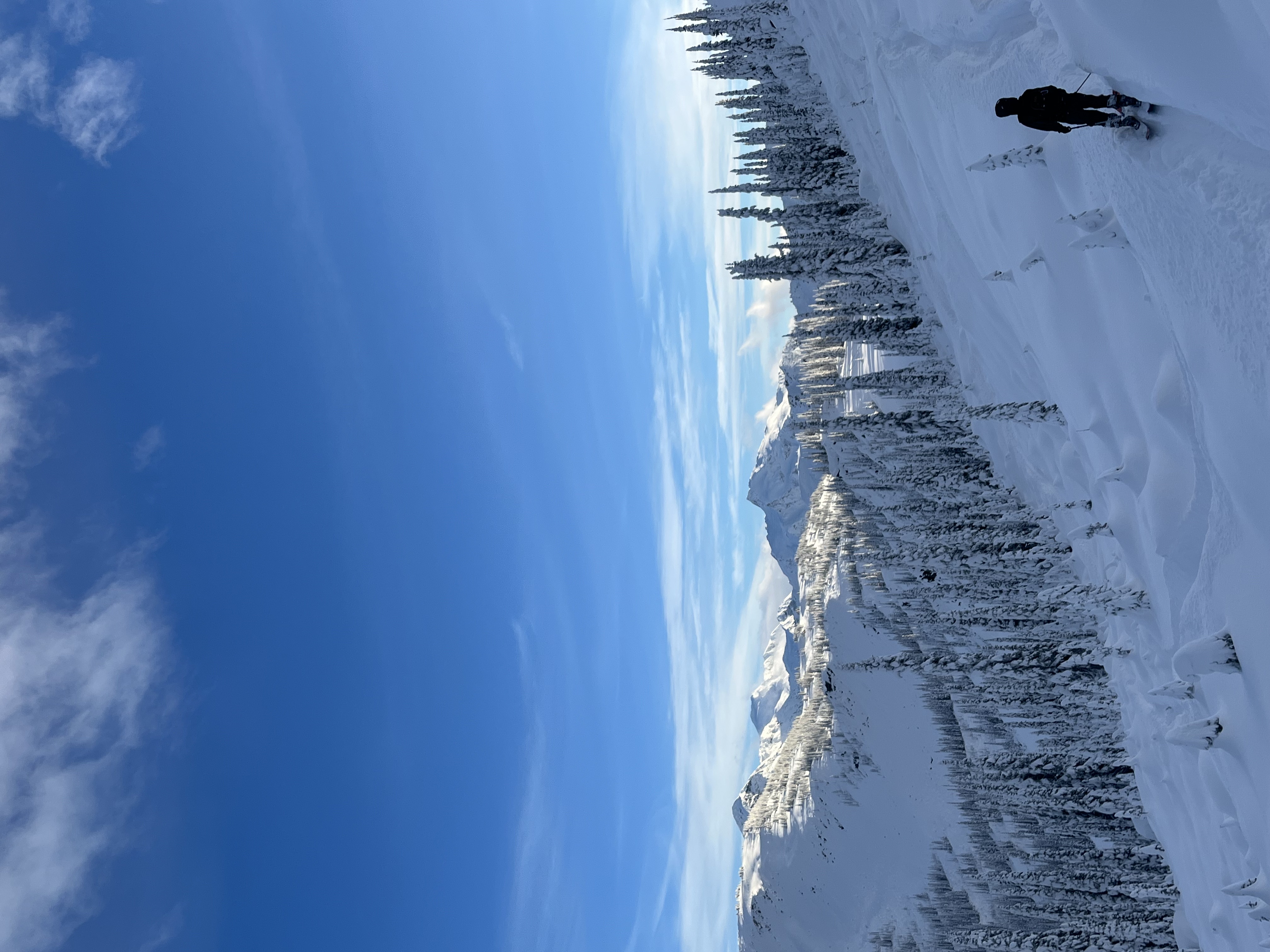 Observation photo