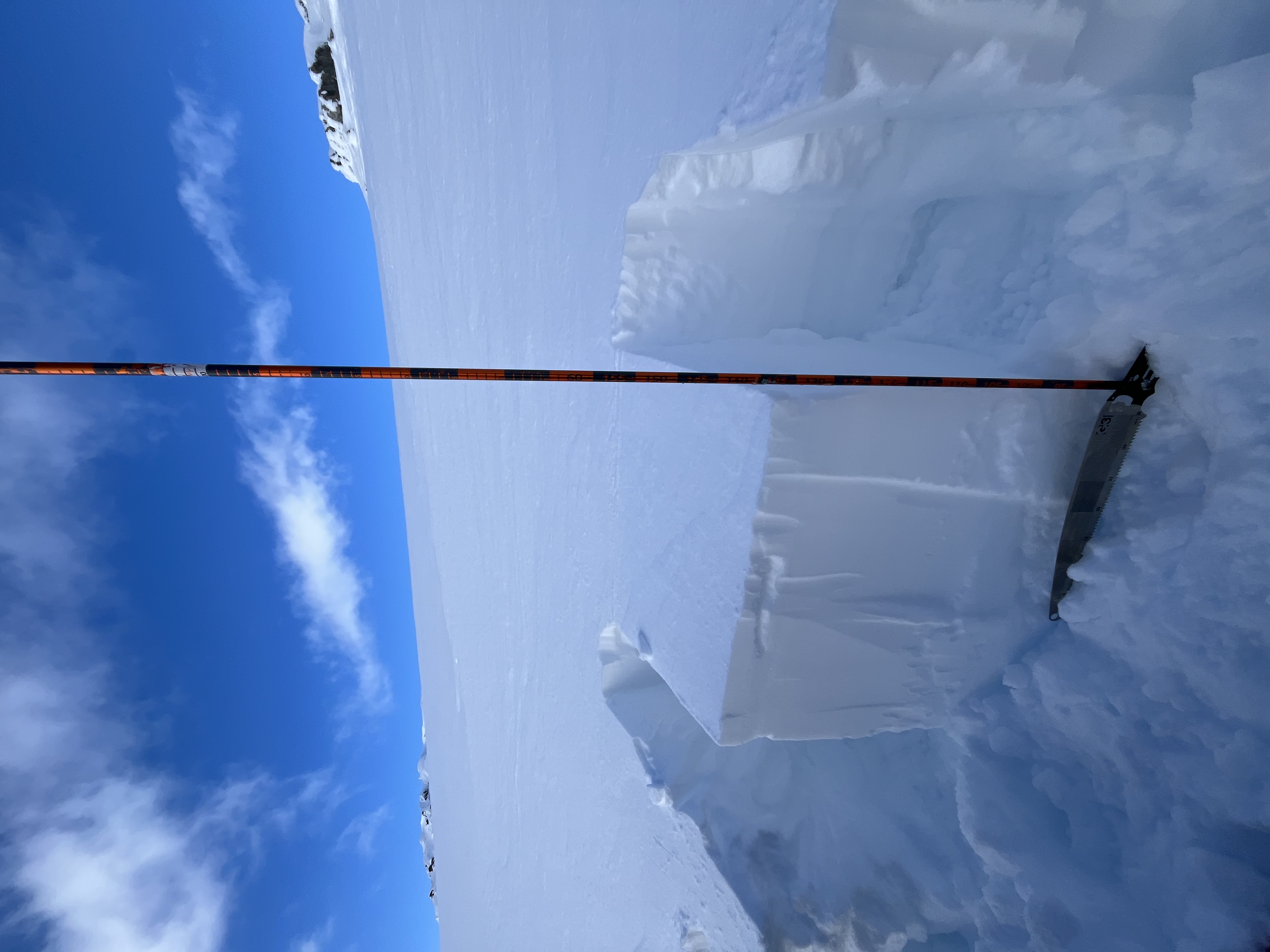 Observation photo