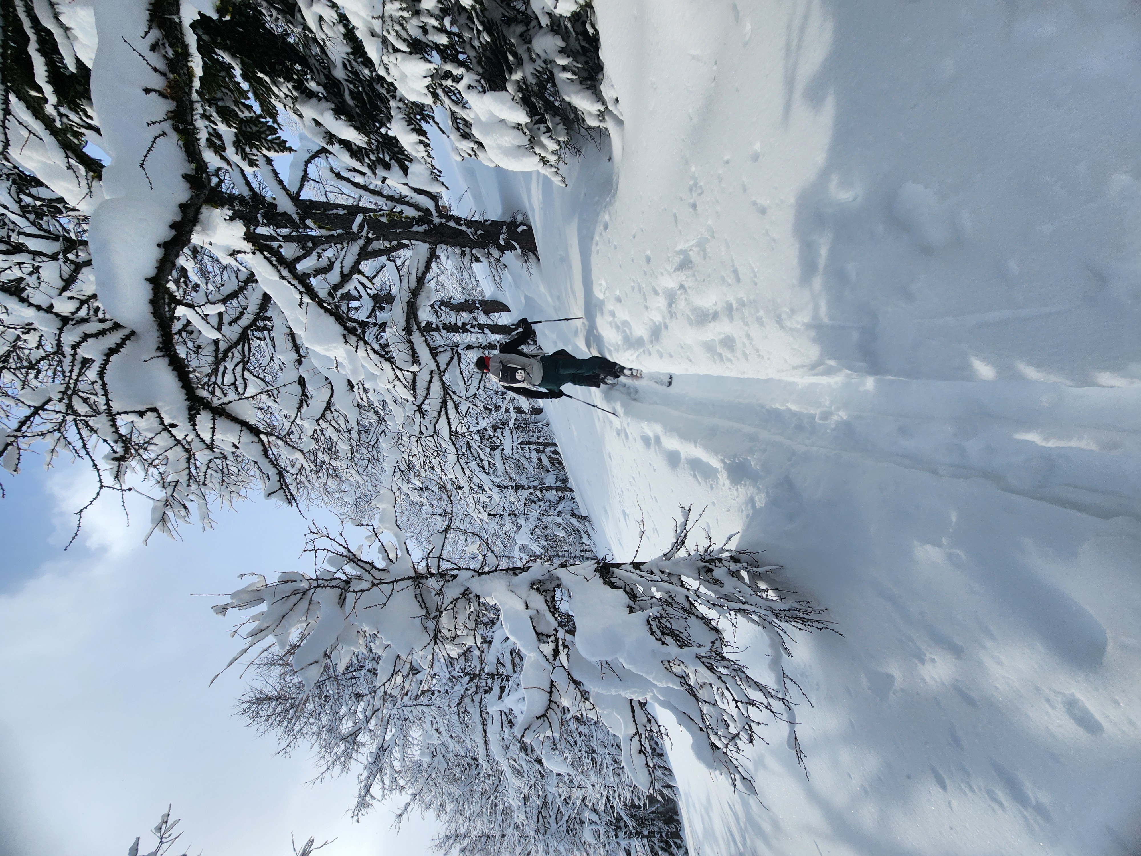 Observation photo