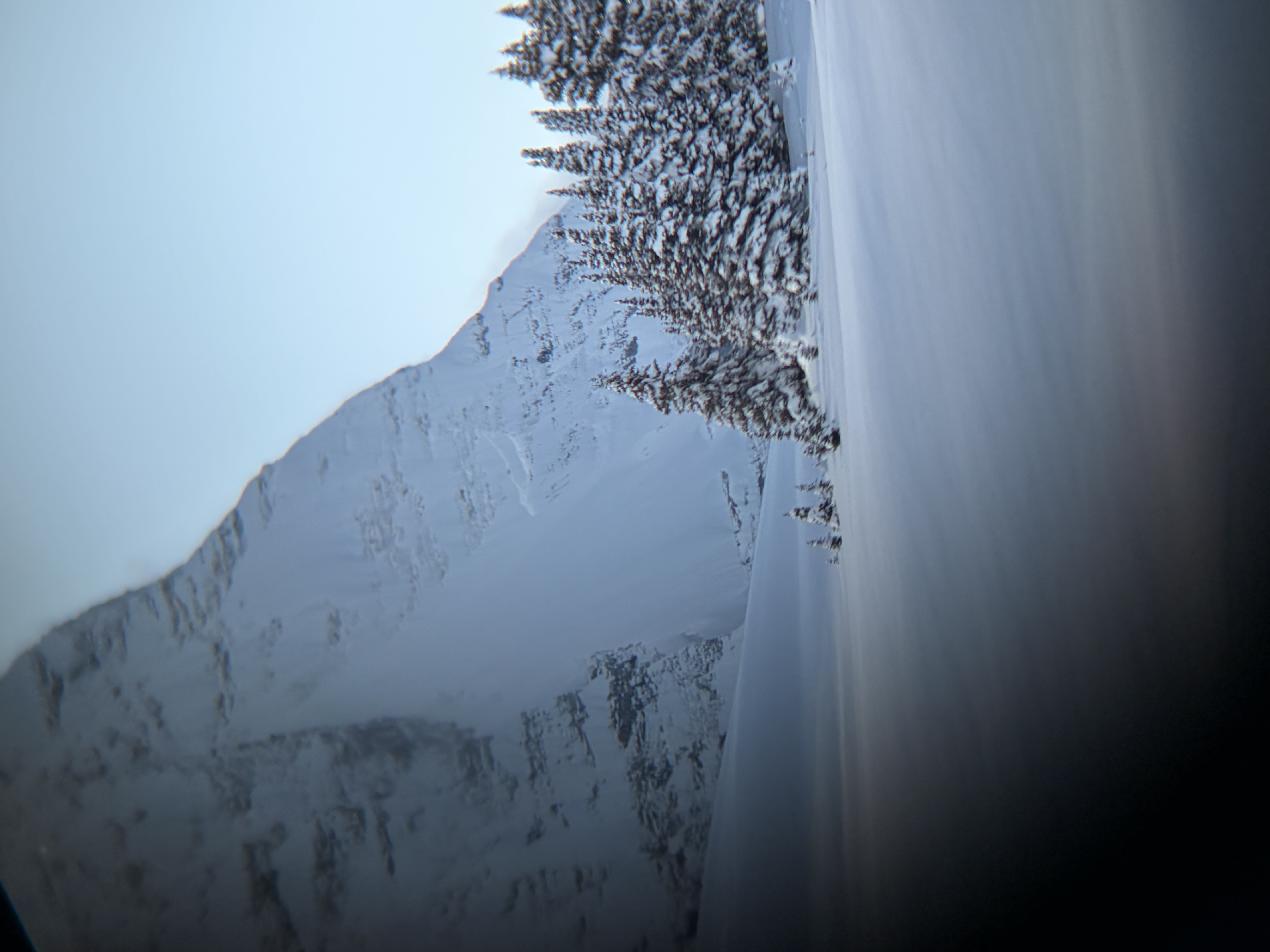 Observation photo