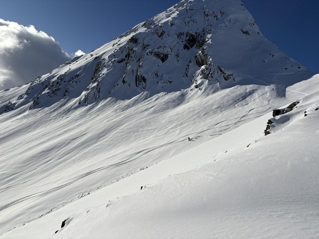 Observation photo