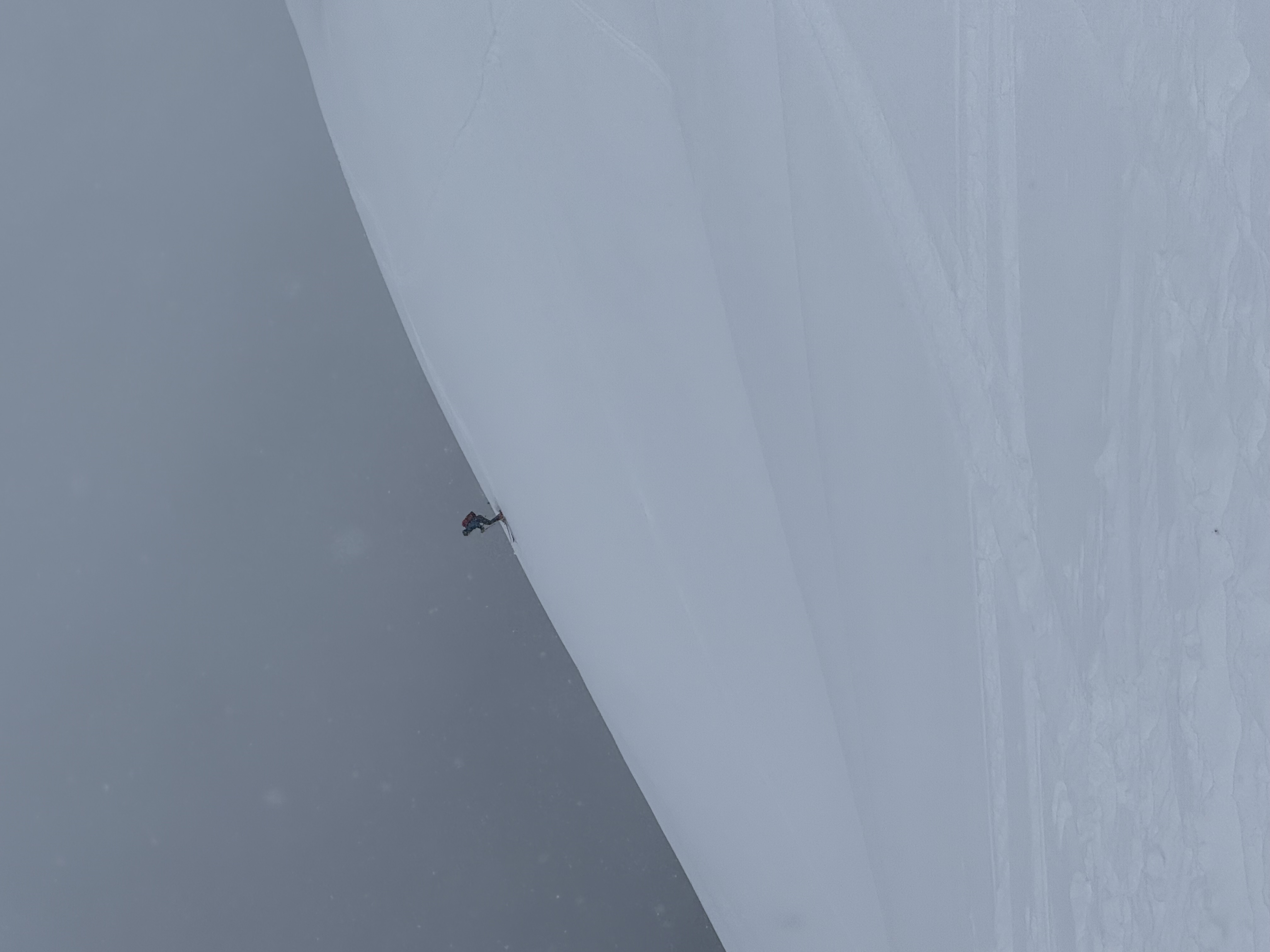 Observation photo