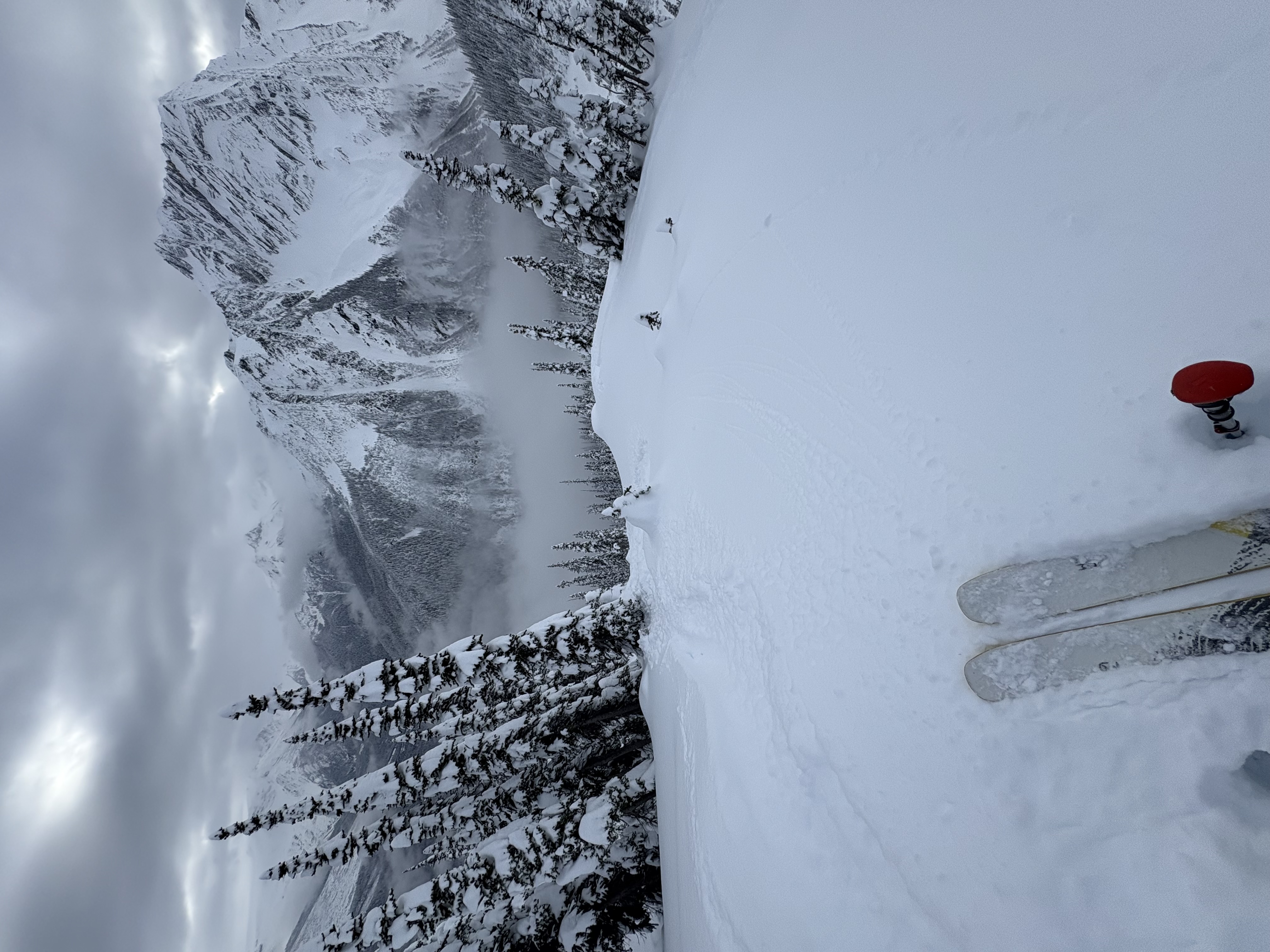 Observation photo
