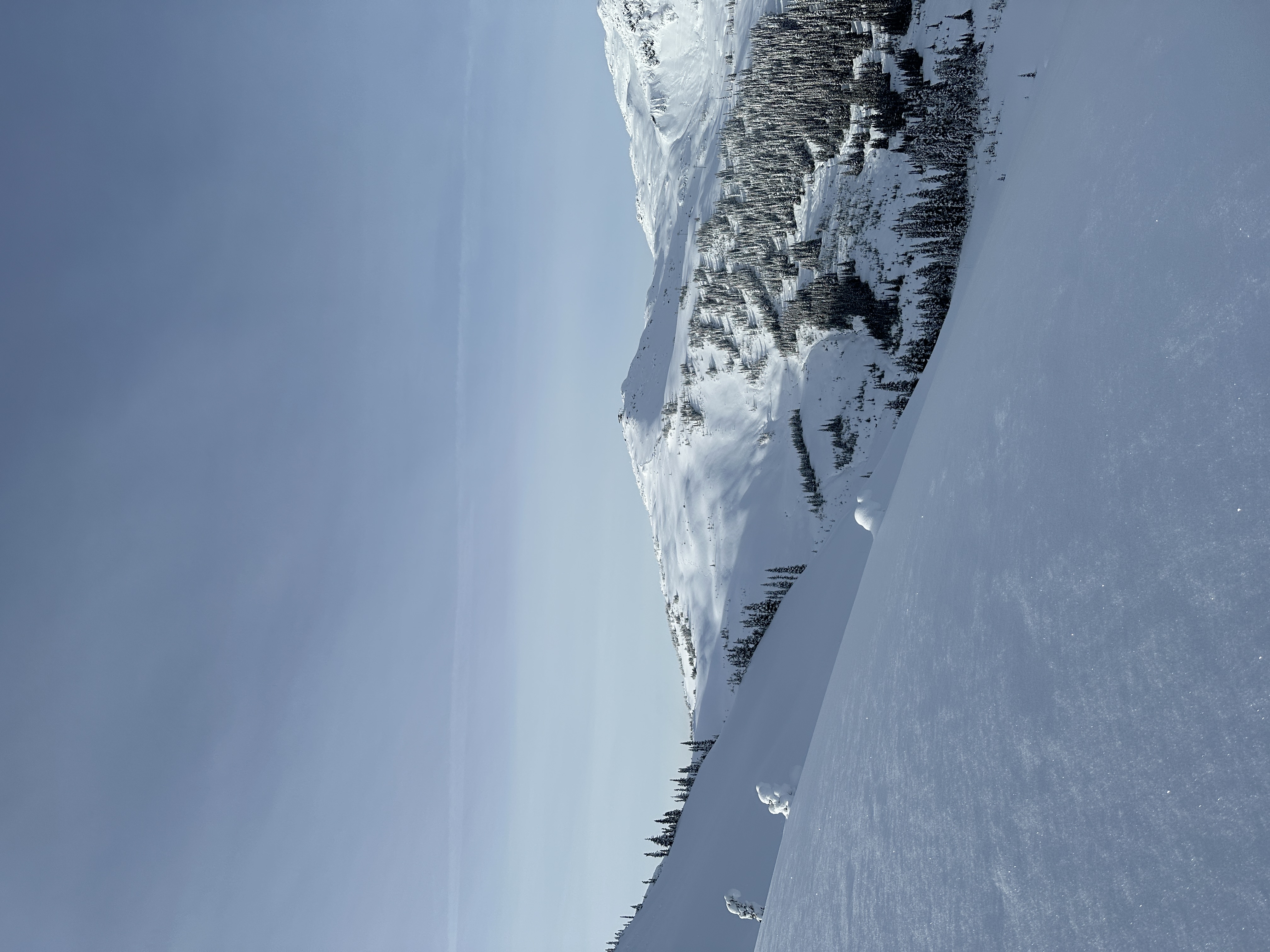 Observation photo