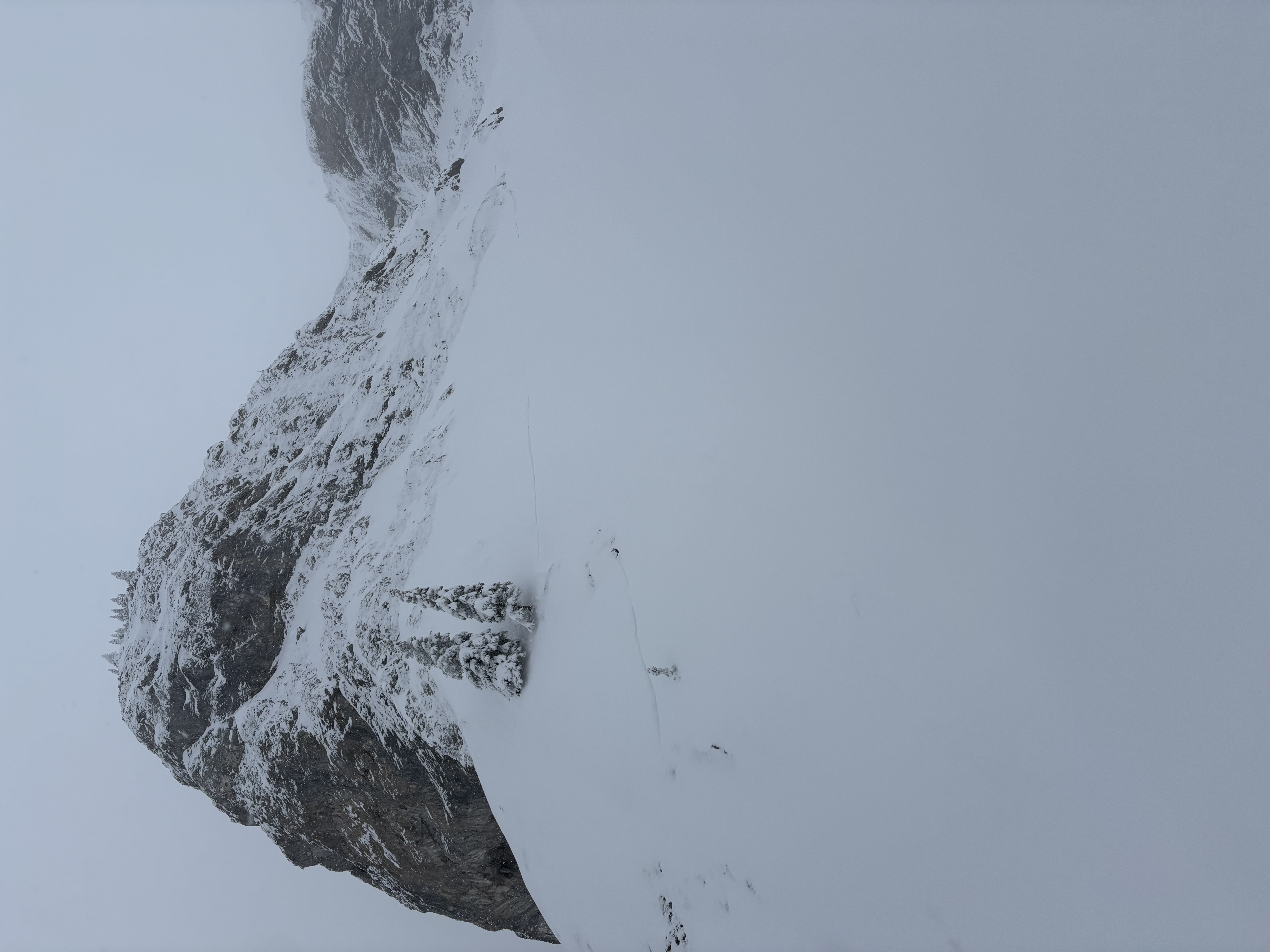 Observation photo