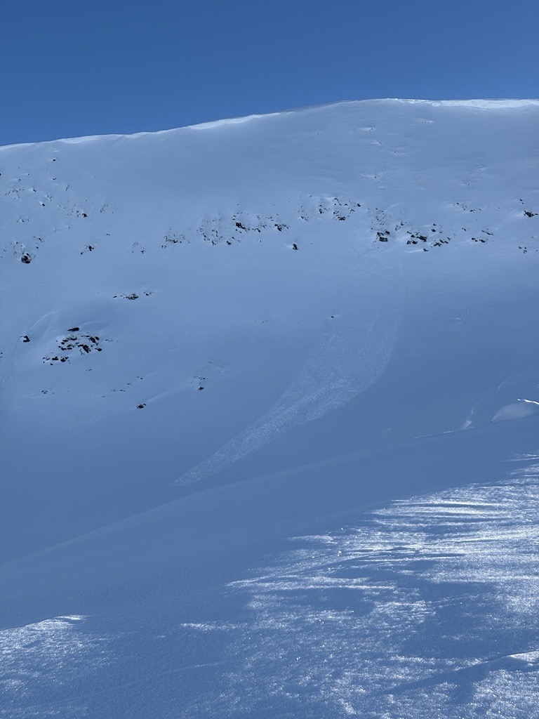 Observation photo