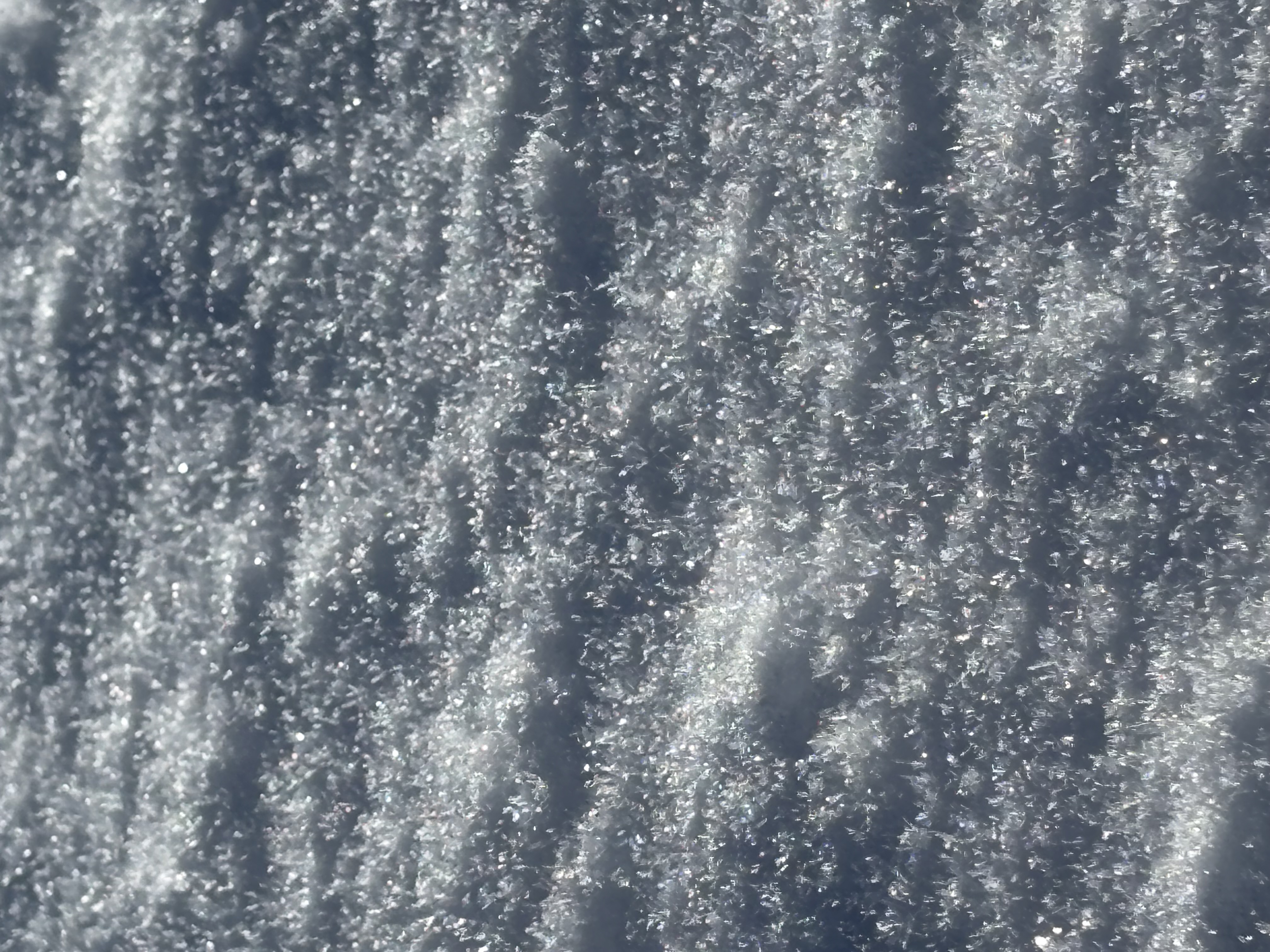 Observation photo