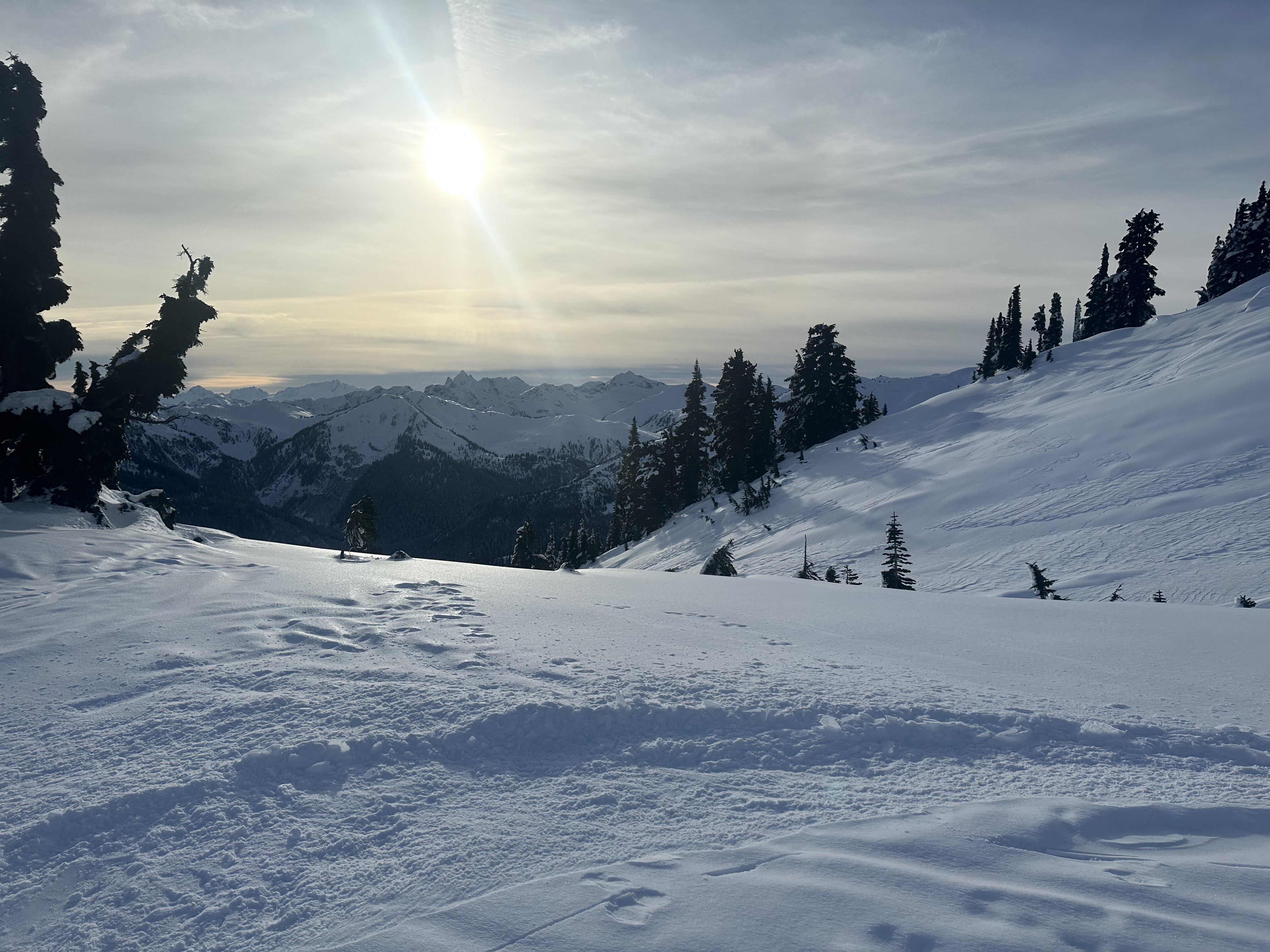 Observation photo