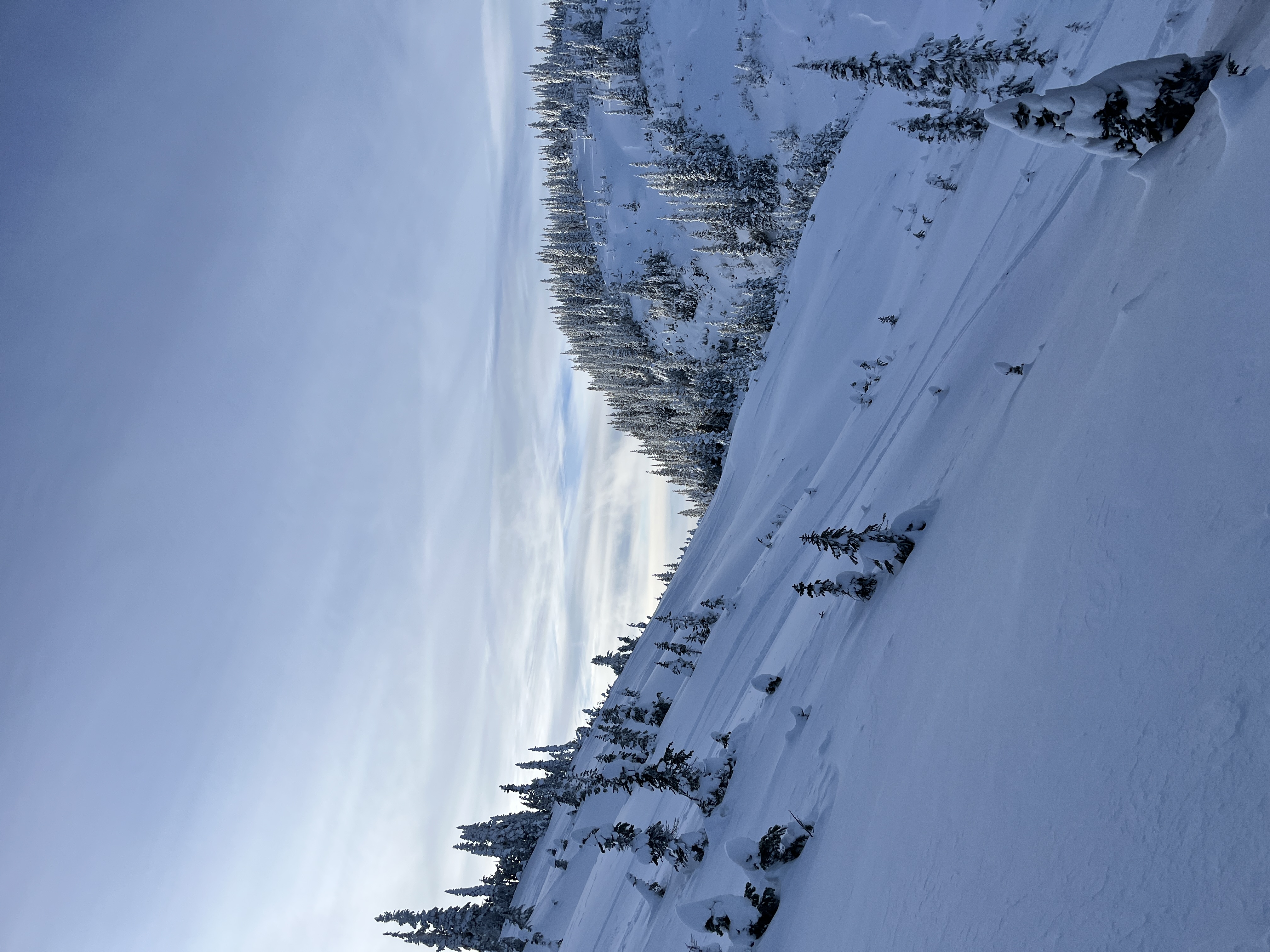 Observation photo