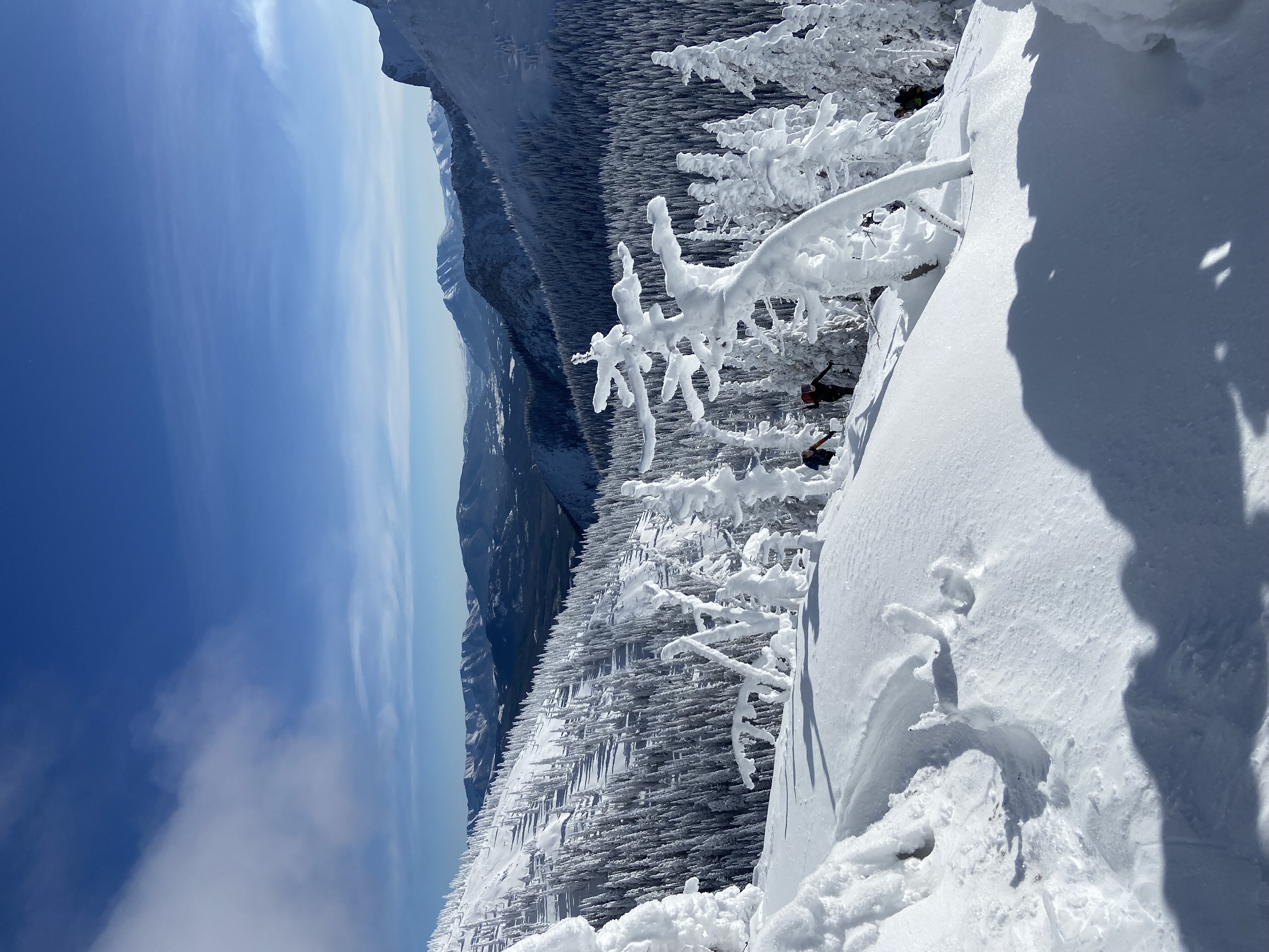 Observation photo