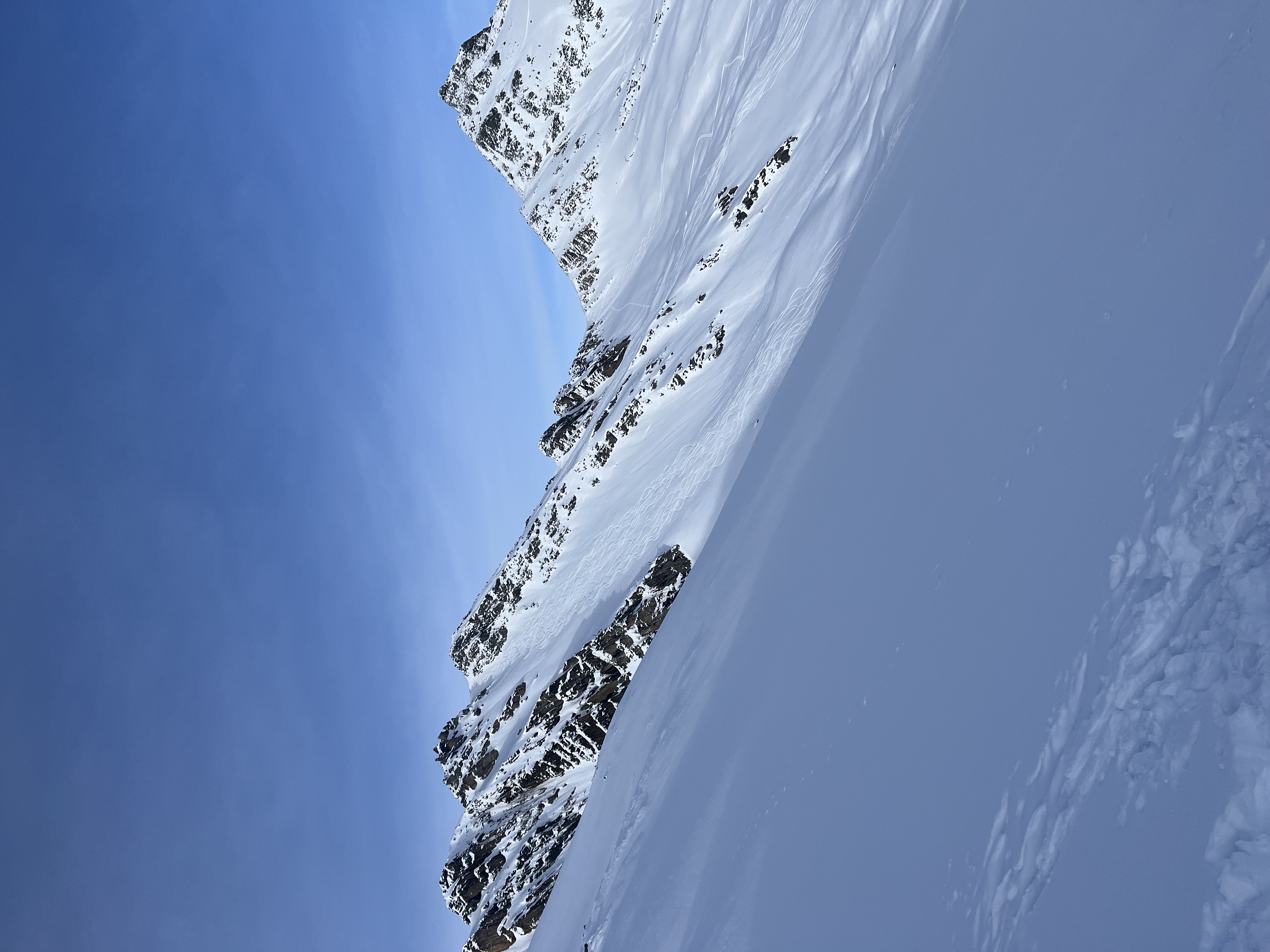 Observation photo