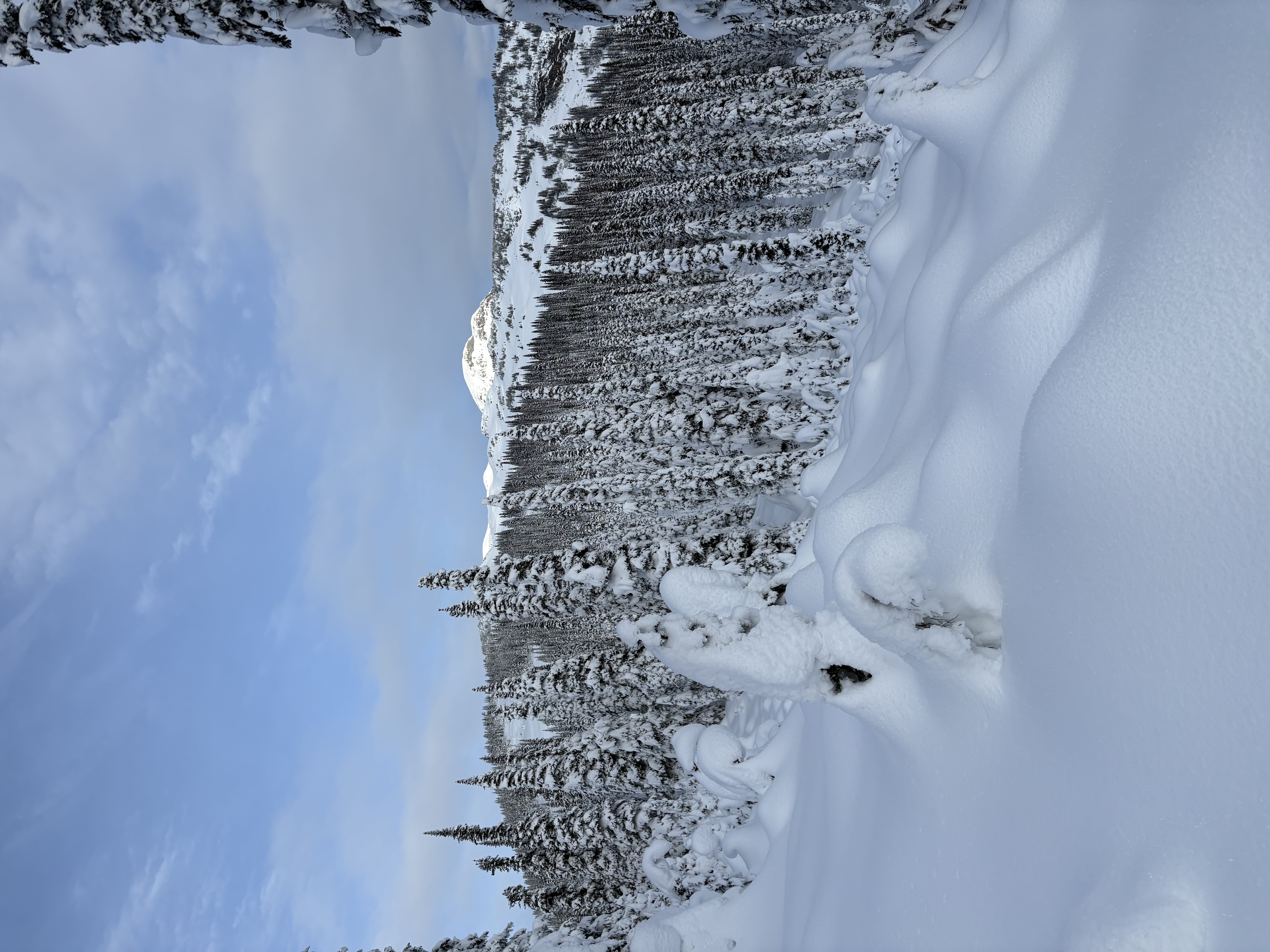 Observation photo