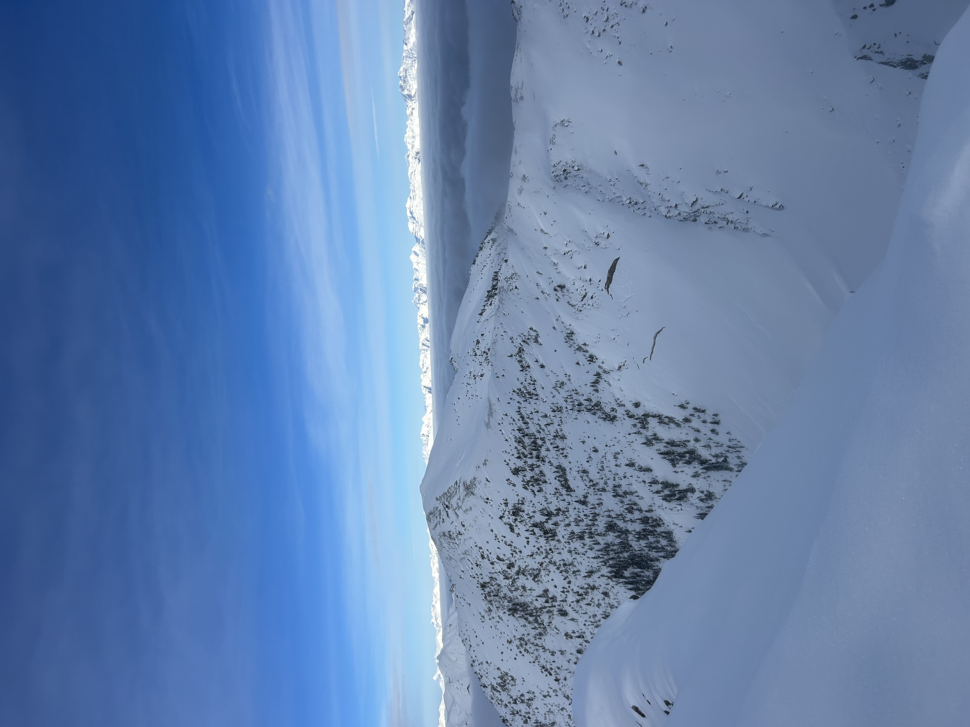 Observation photo