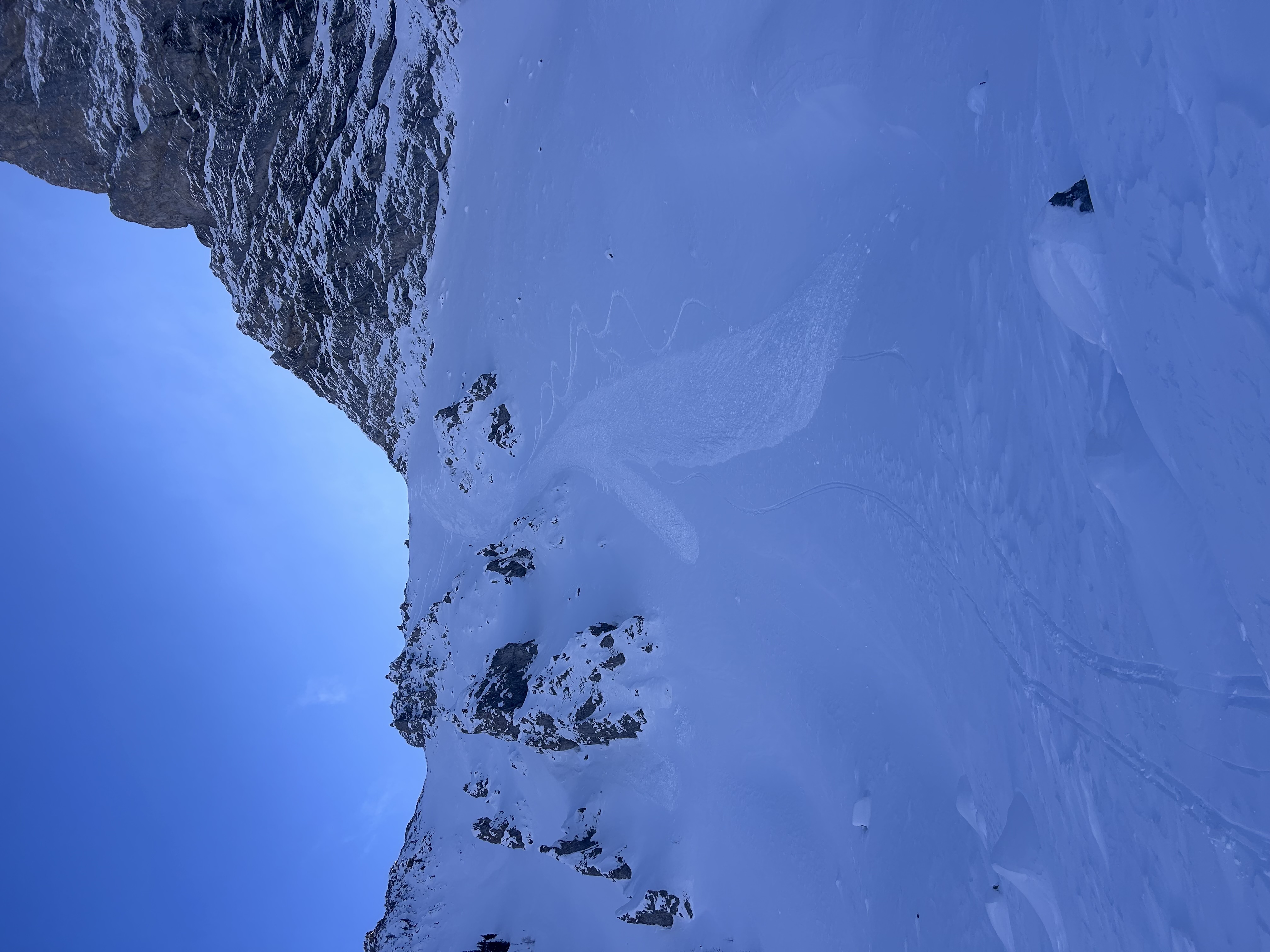 Observation photo