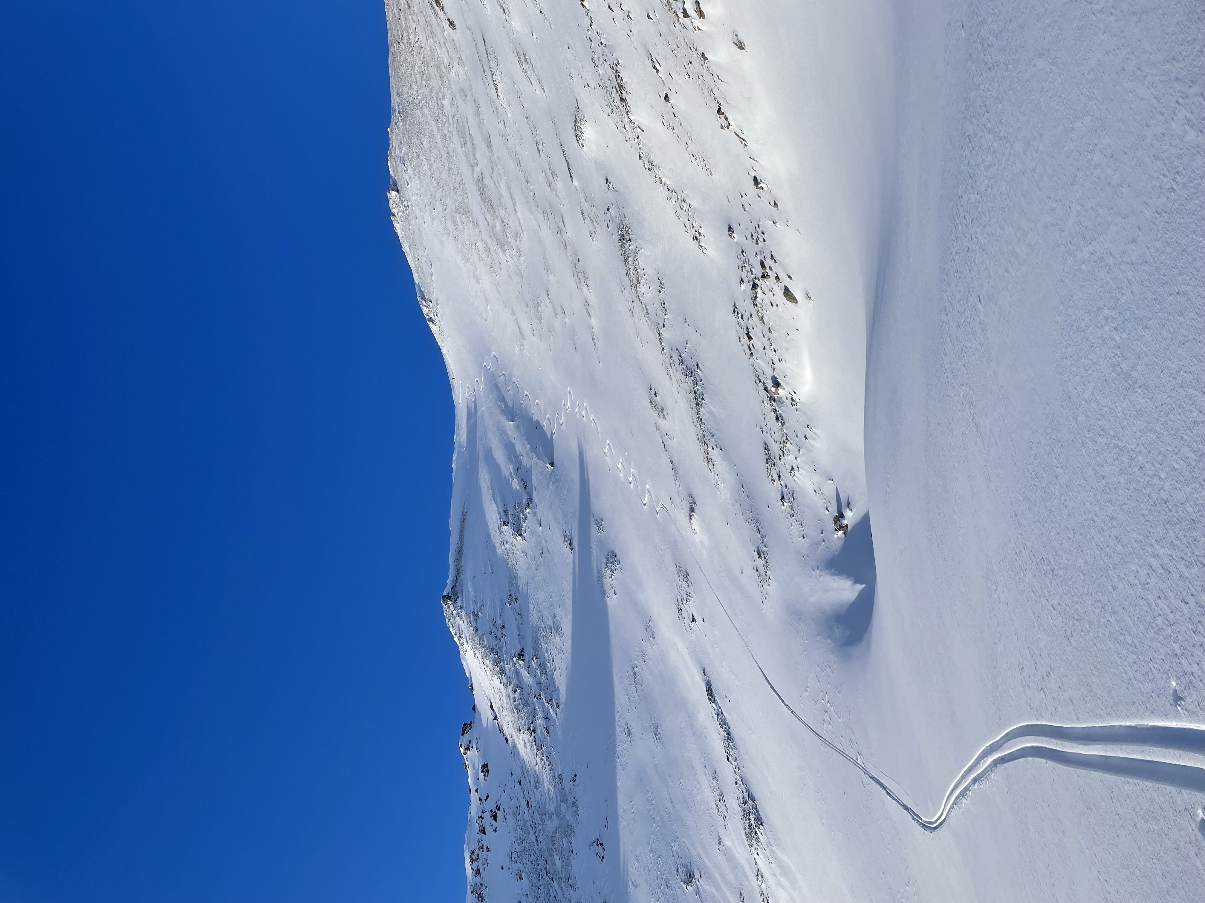 Observation photo