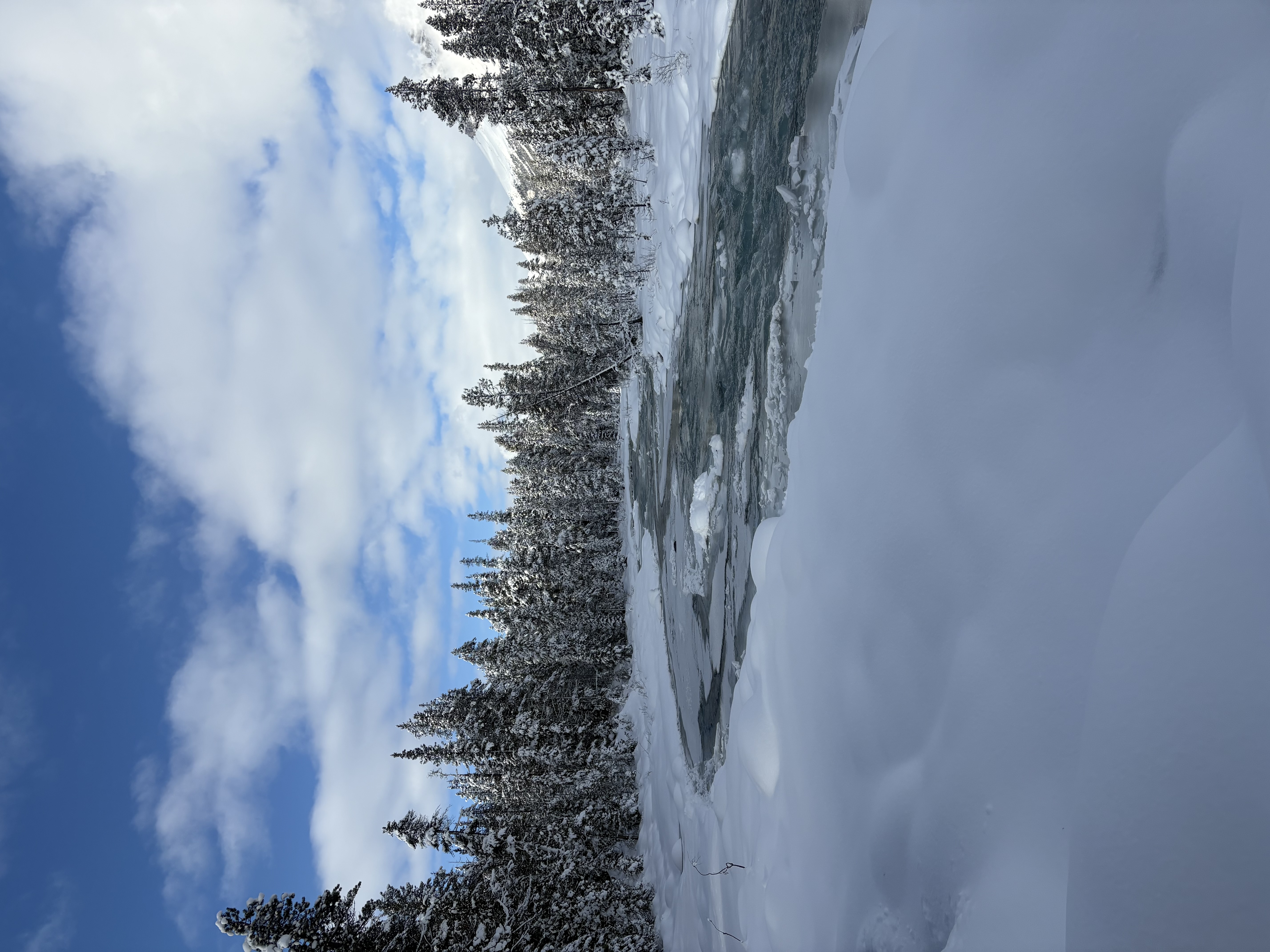 Observation photo