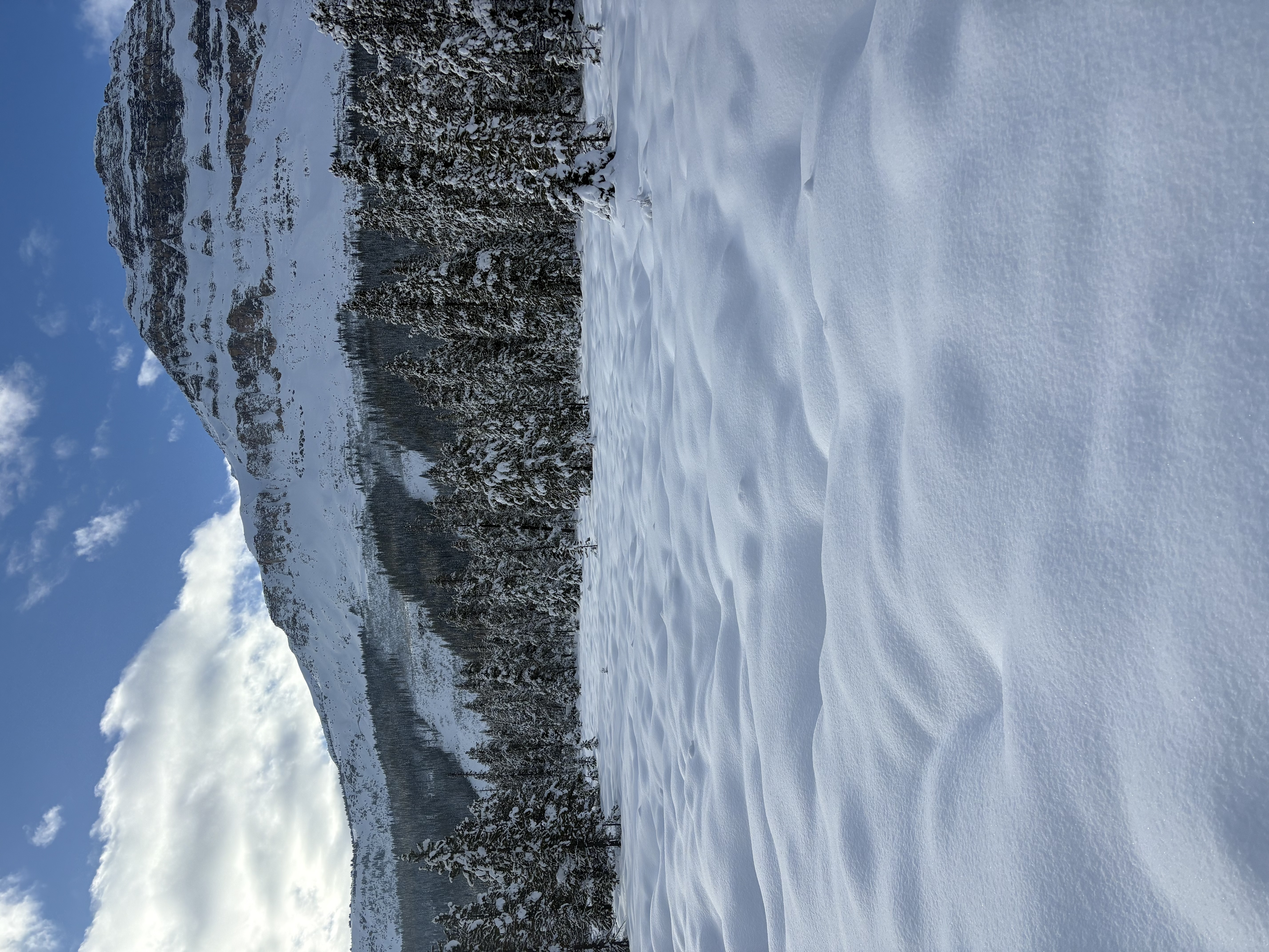 Observation photo