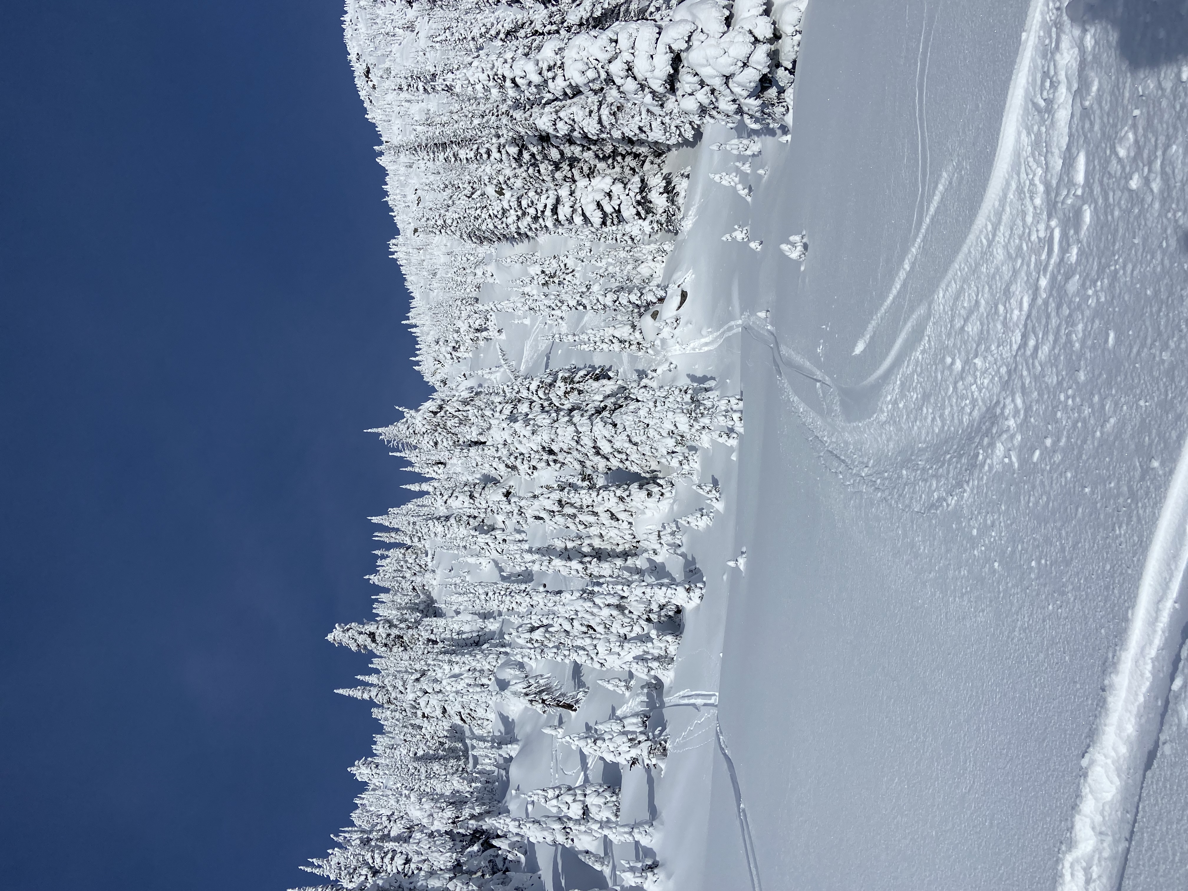 Observation photo