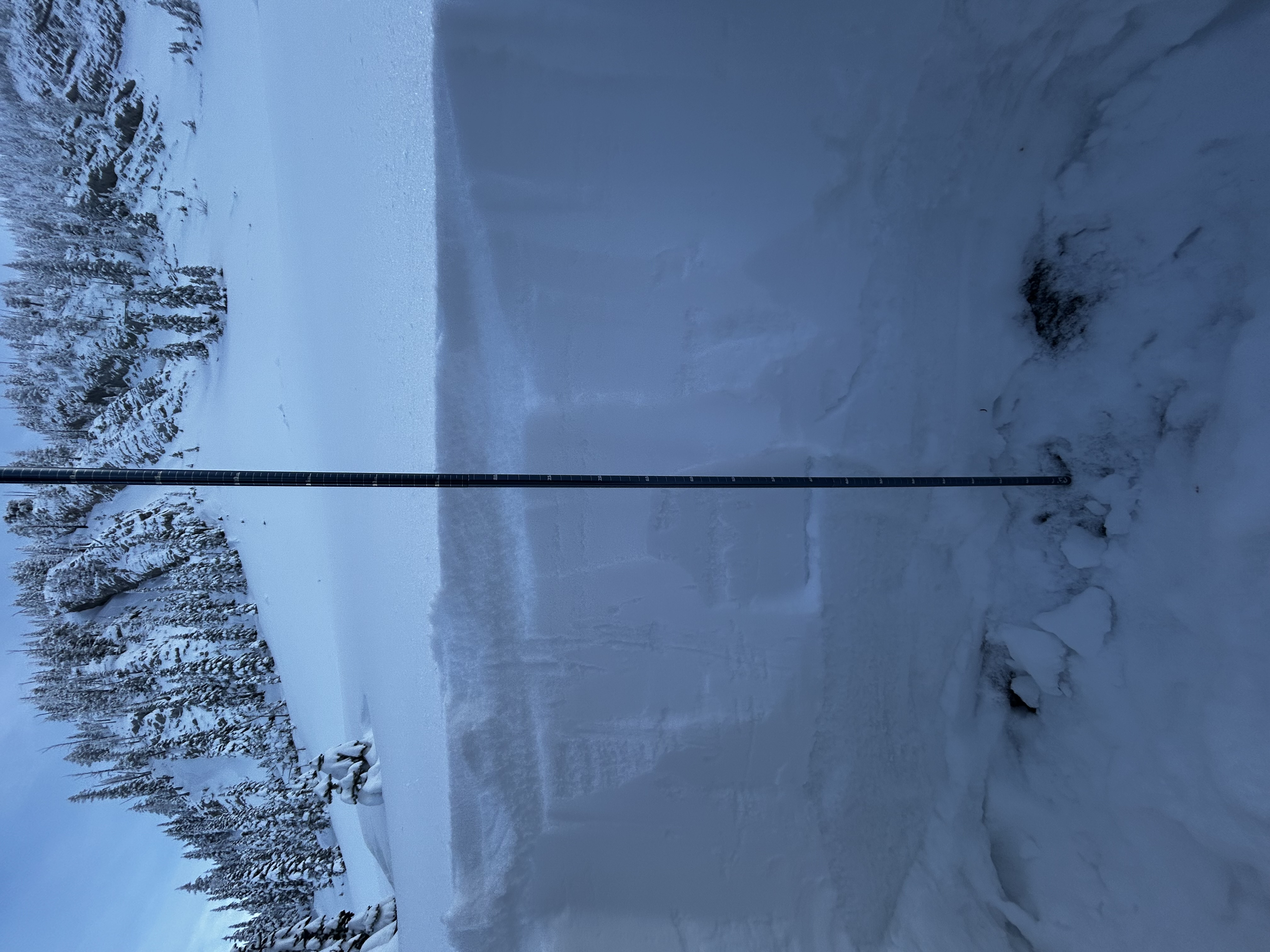 Observation photo
