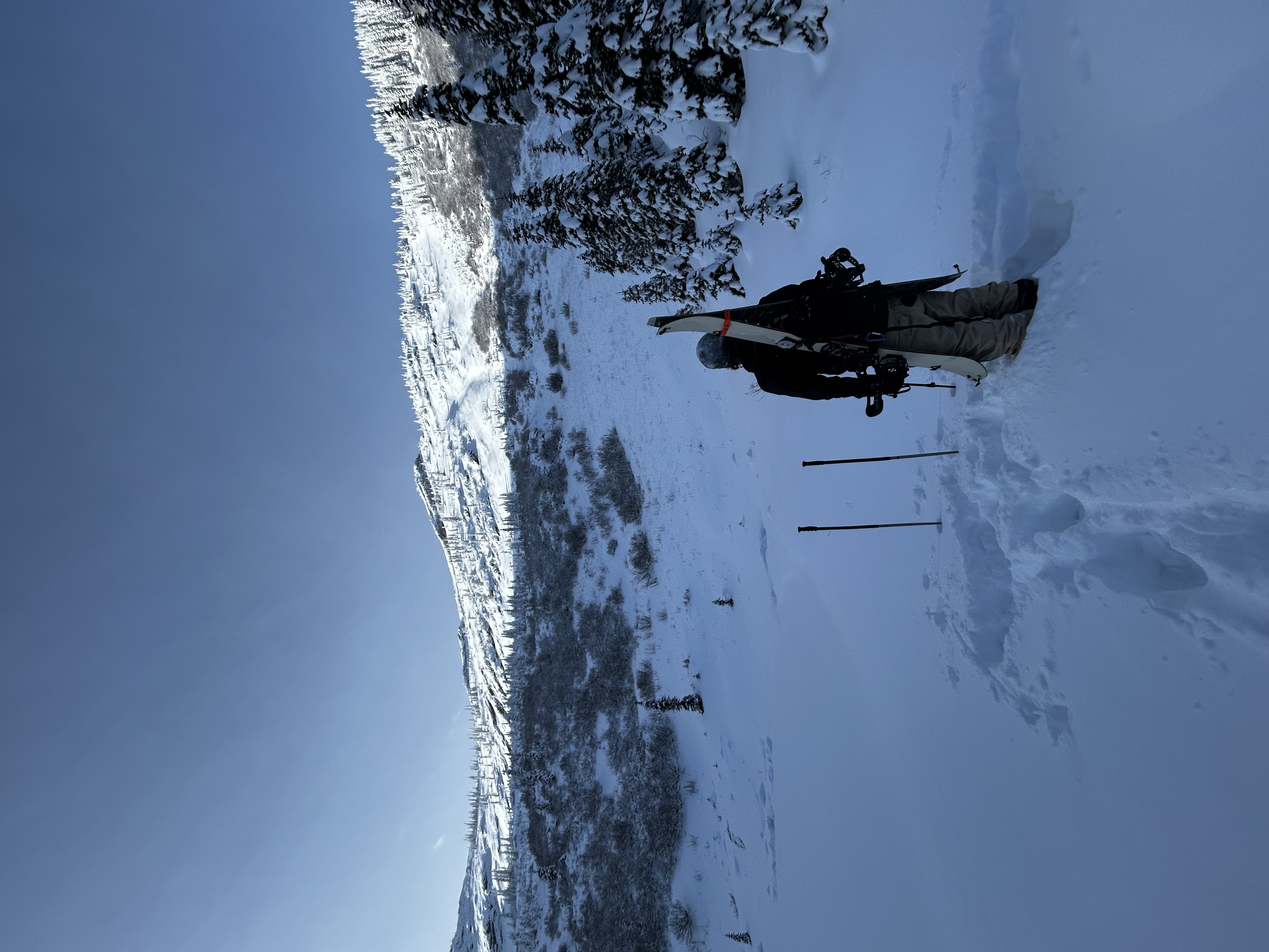 Observation photo