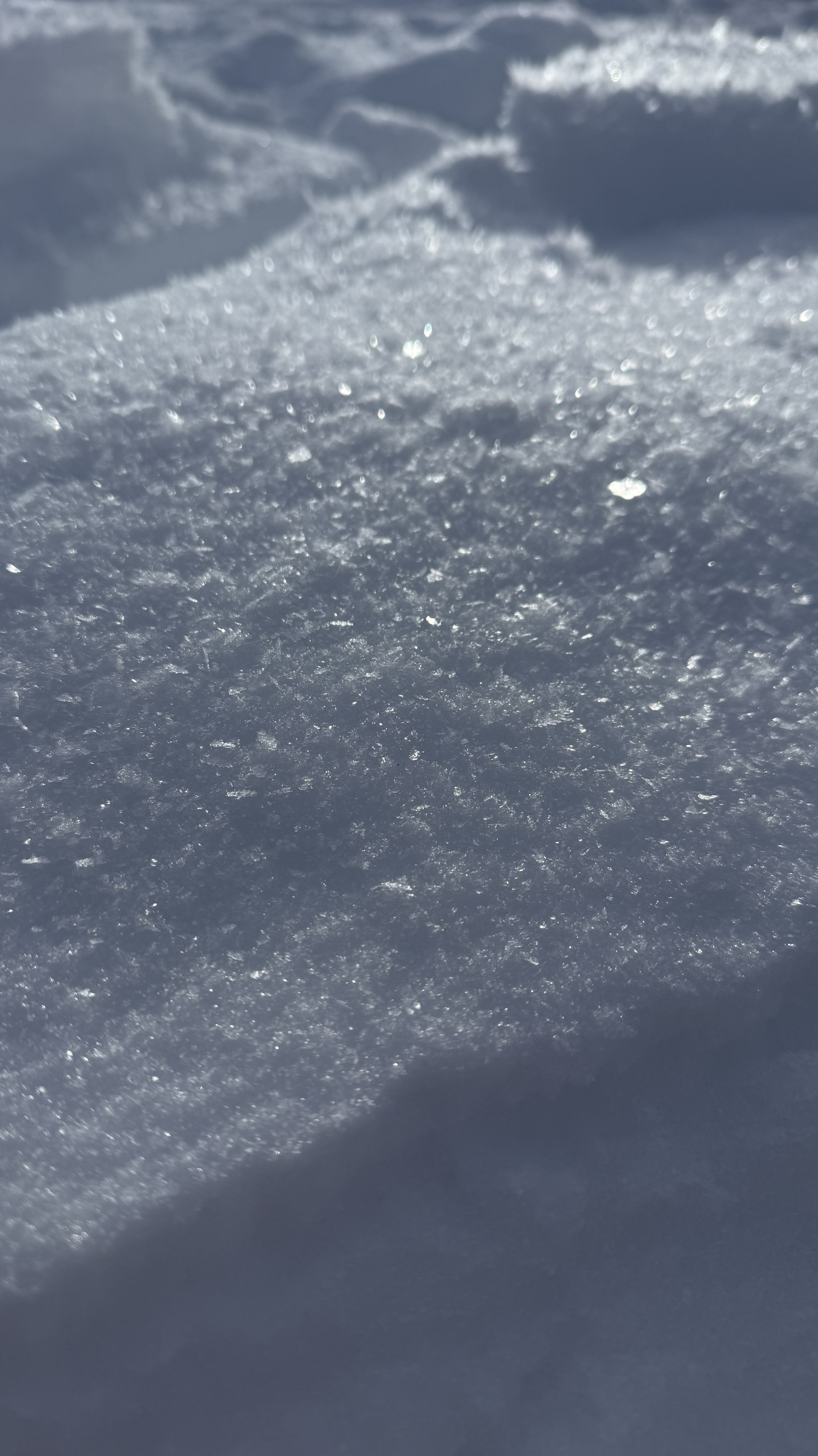 Observation photo