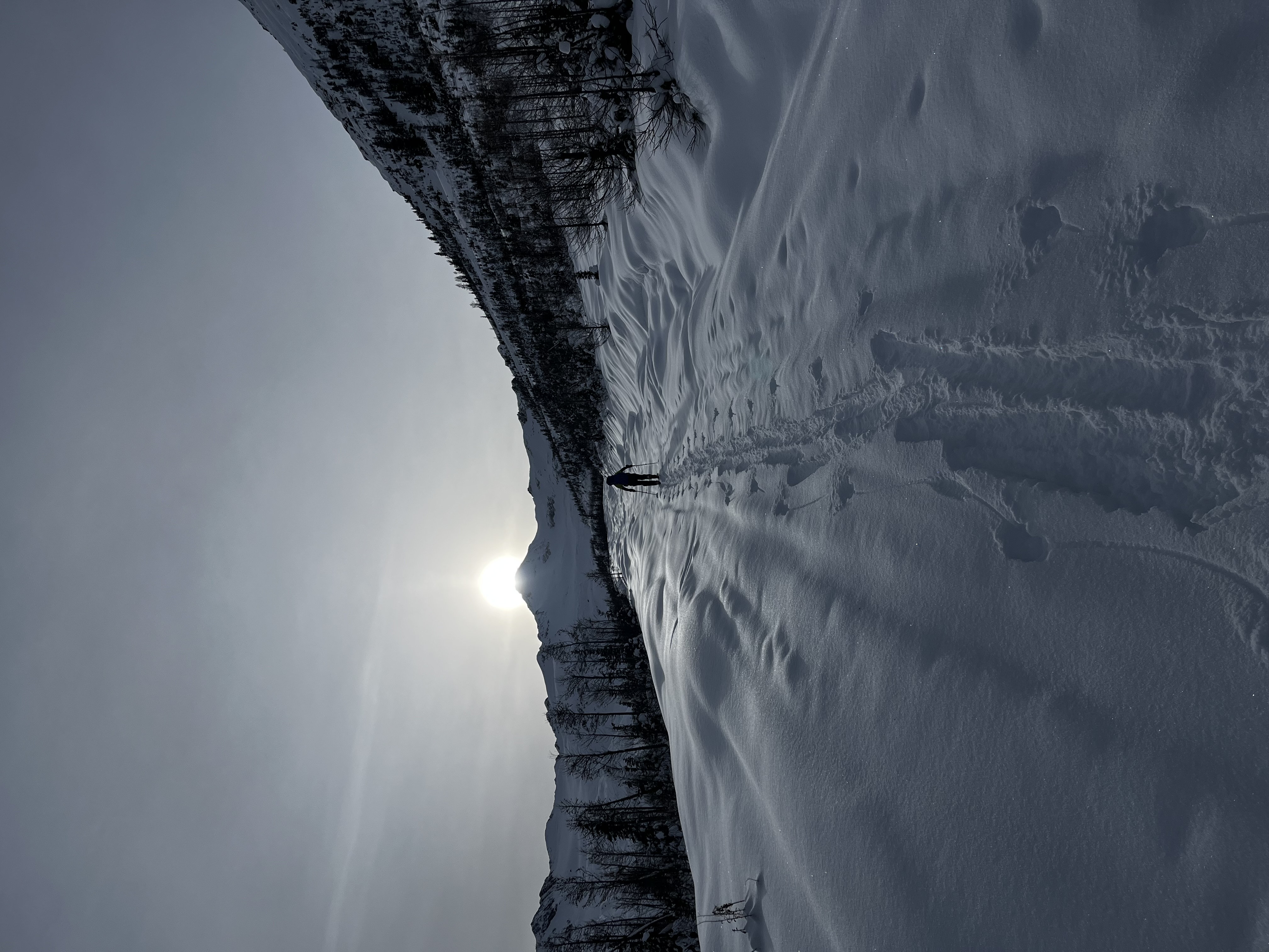 Observation photo