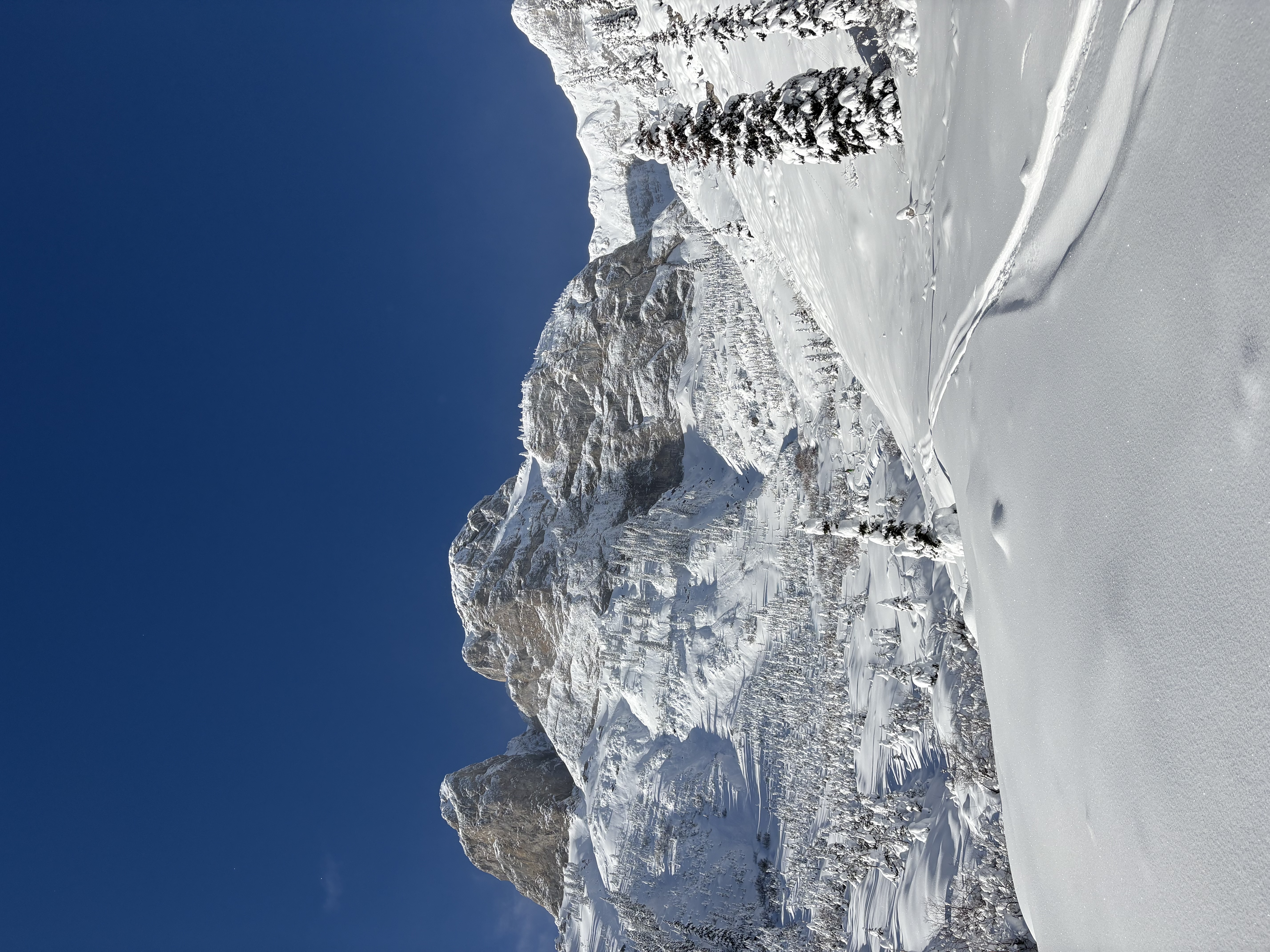Observation photo