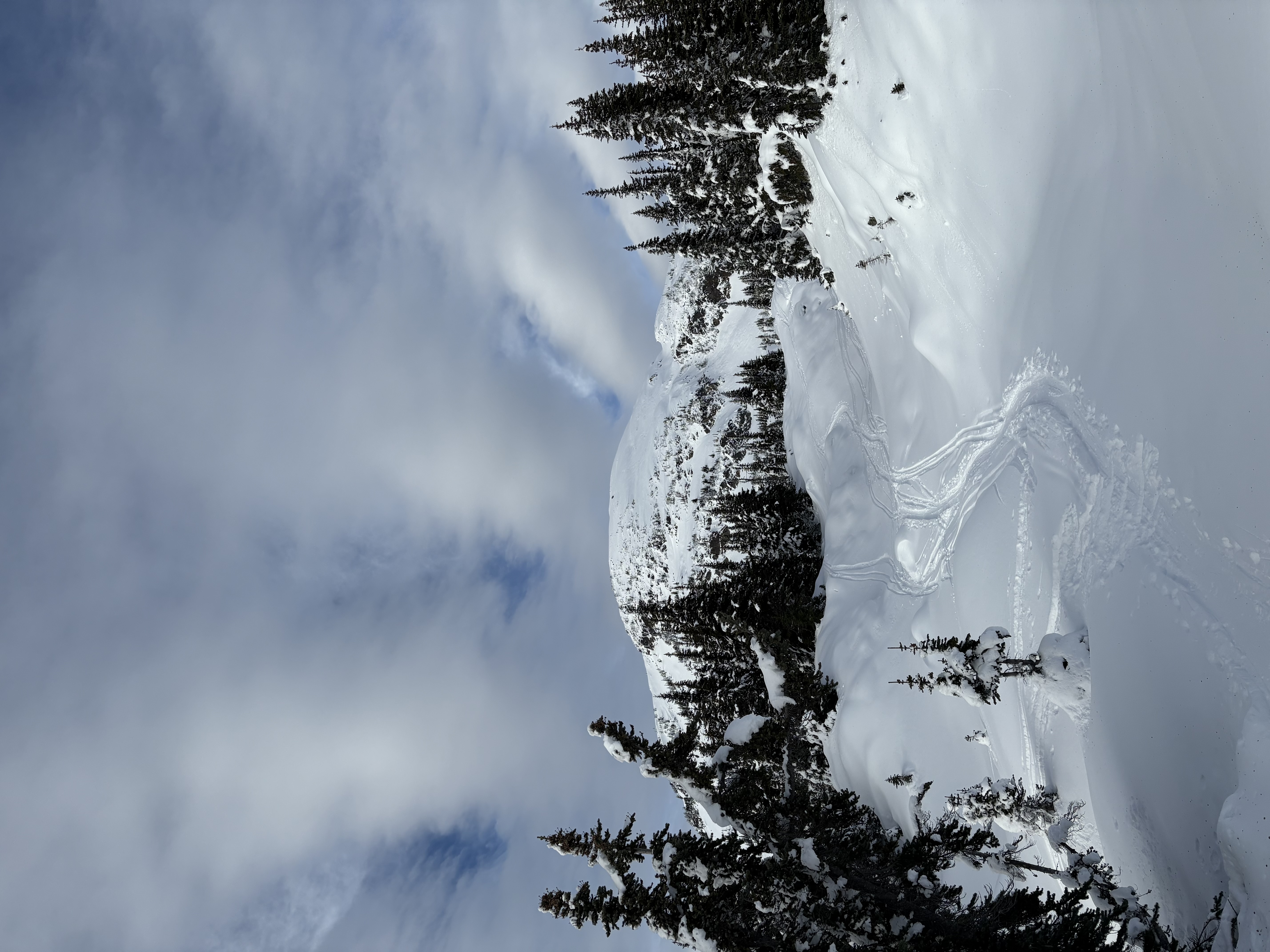 Observation photo