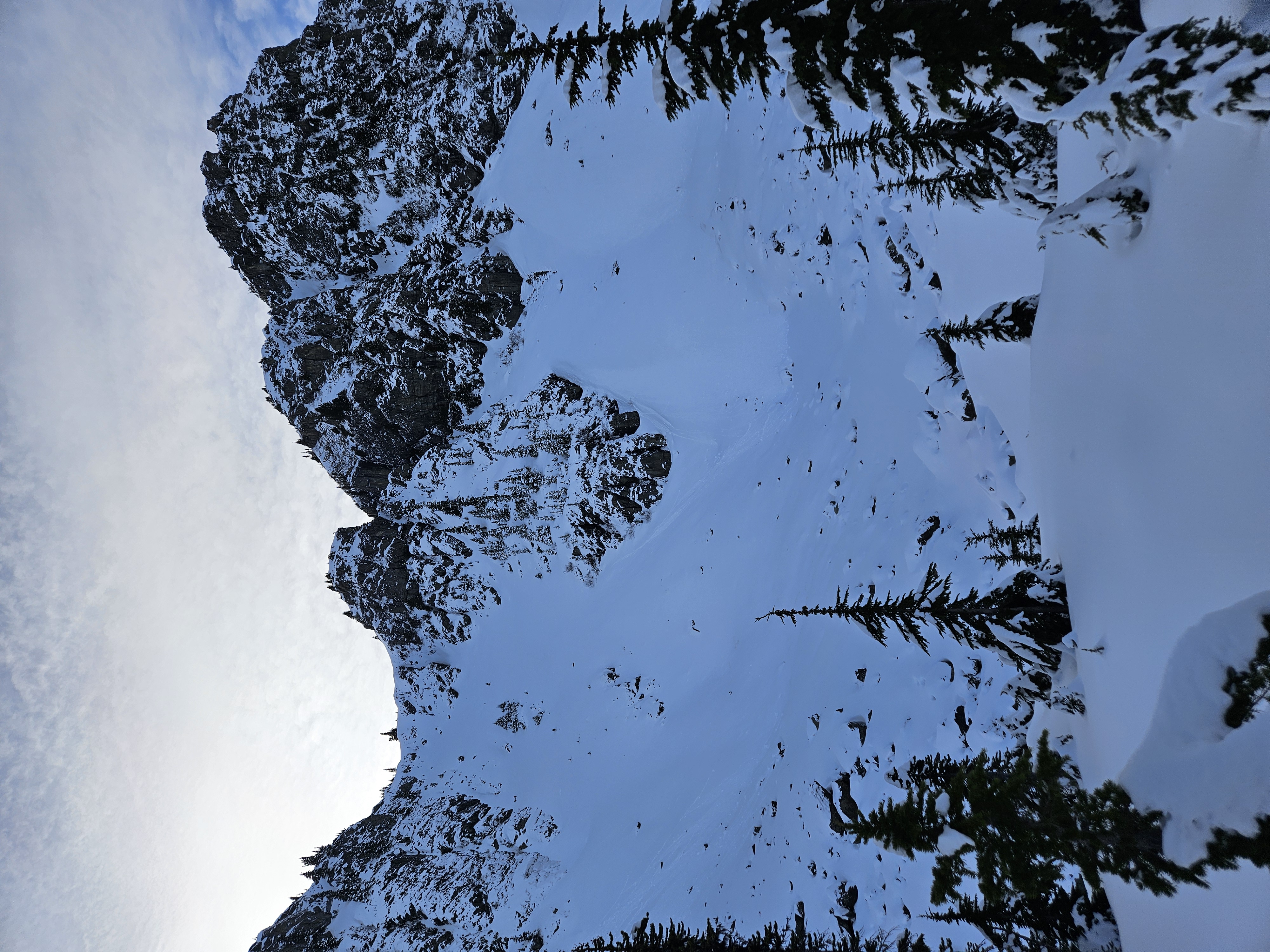 Observation photo