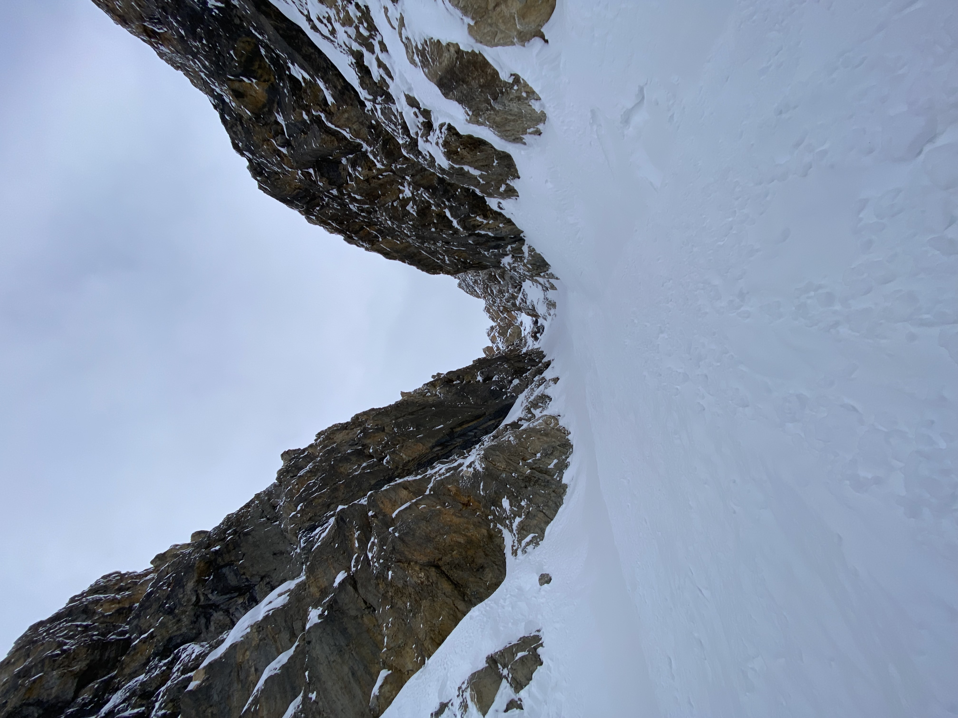 Observation photo