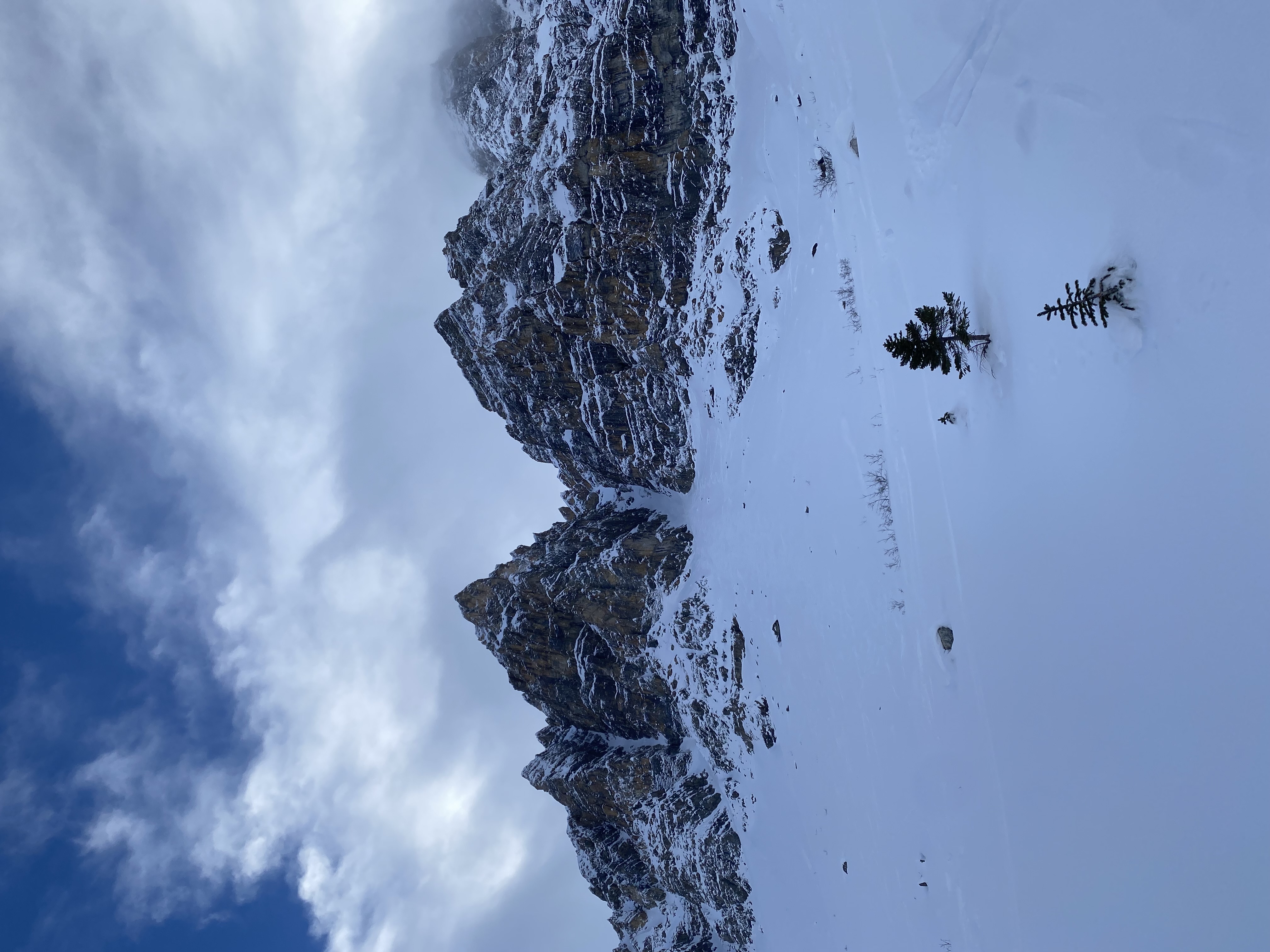 Observation photo