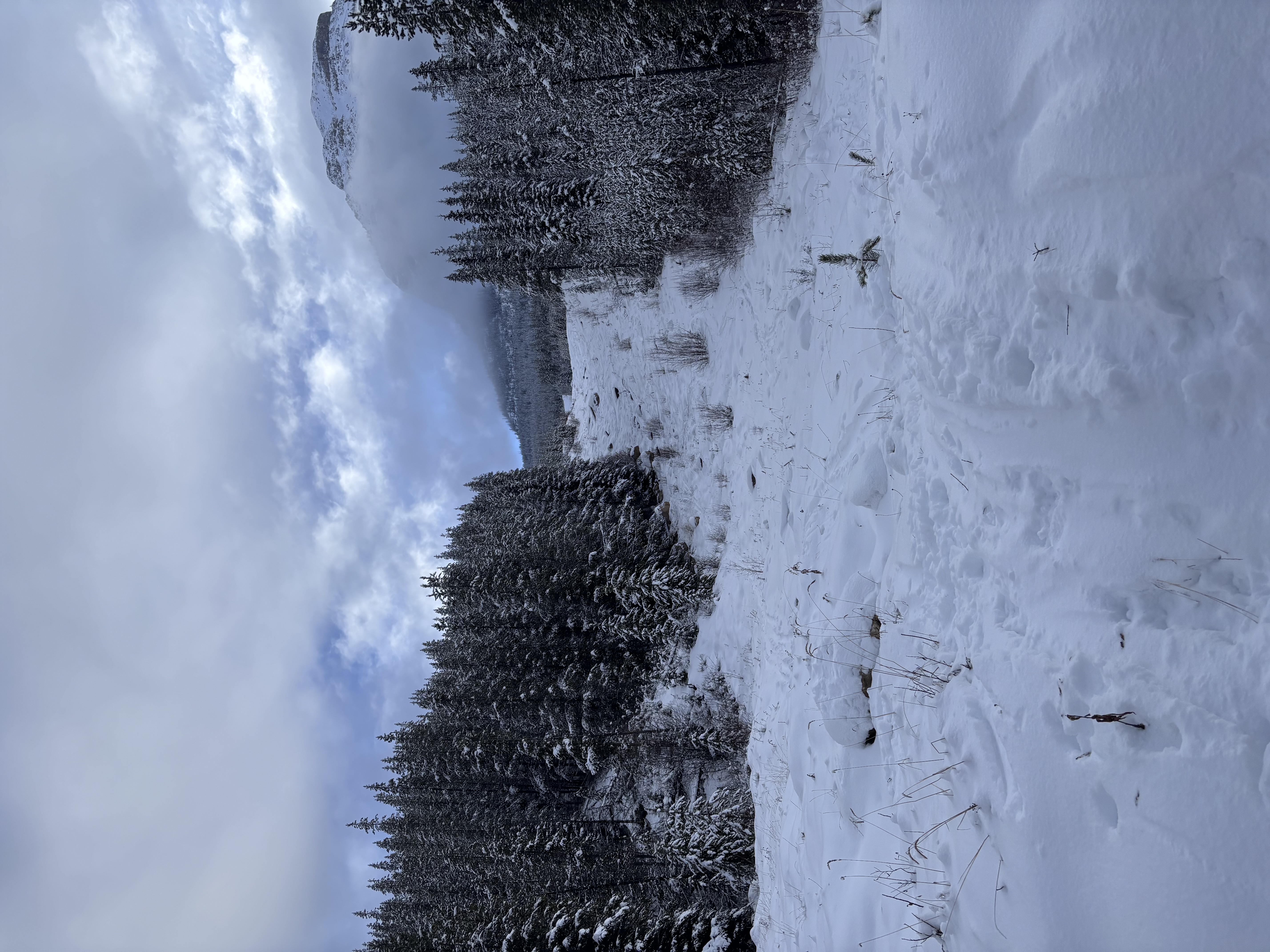 Observation photo